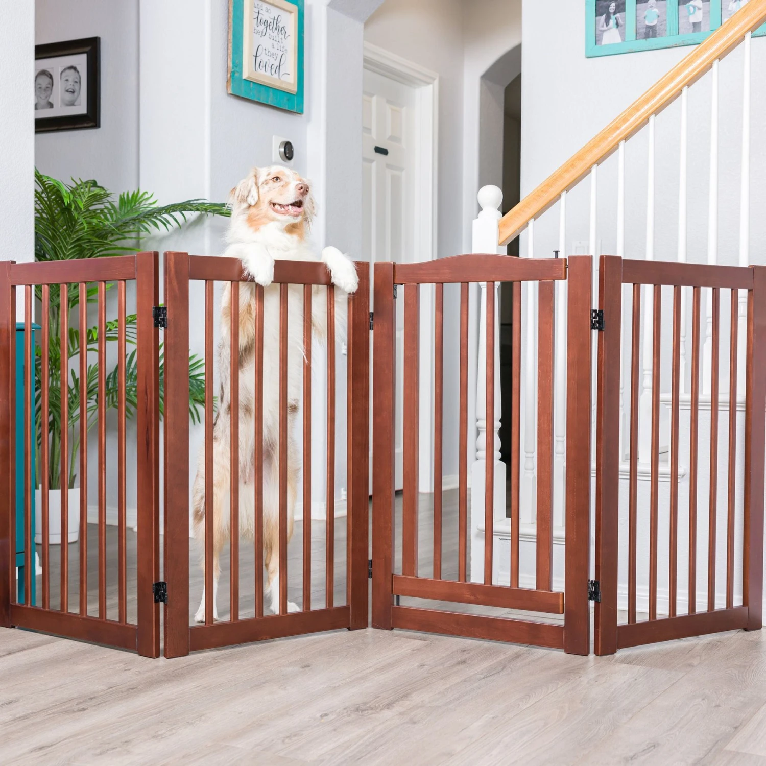 Primetime Petz 360 Configurable Gate With Door - Image 4