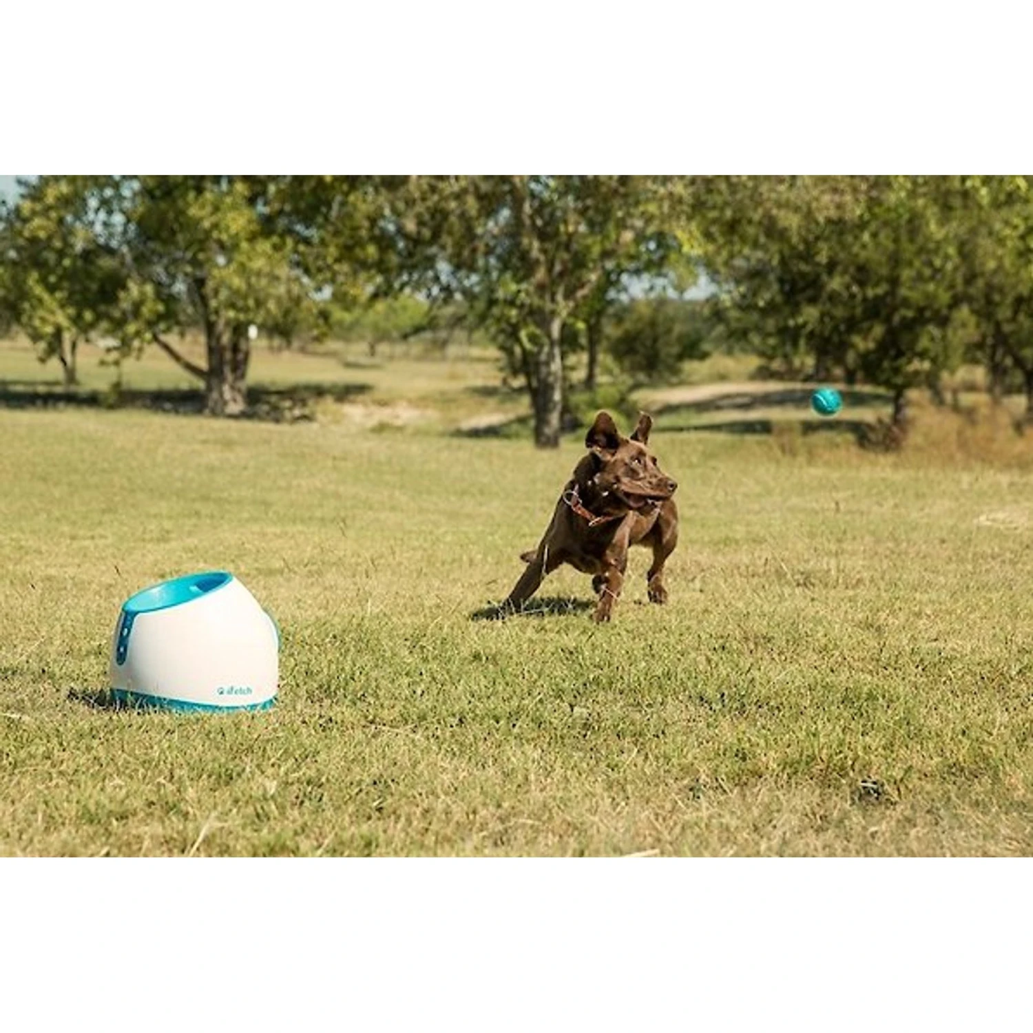IFetch Too Automatic Ball Launcher Dog Toy - Image 4