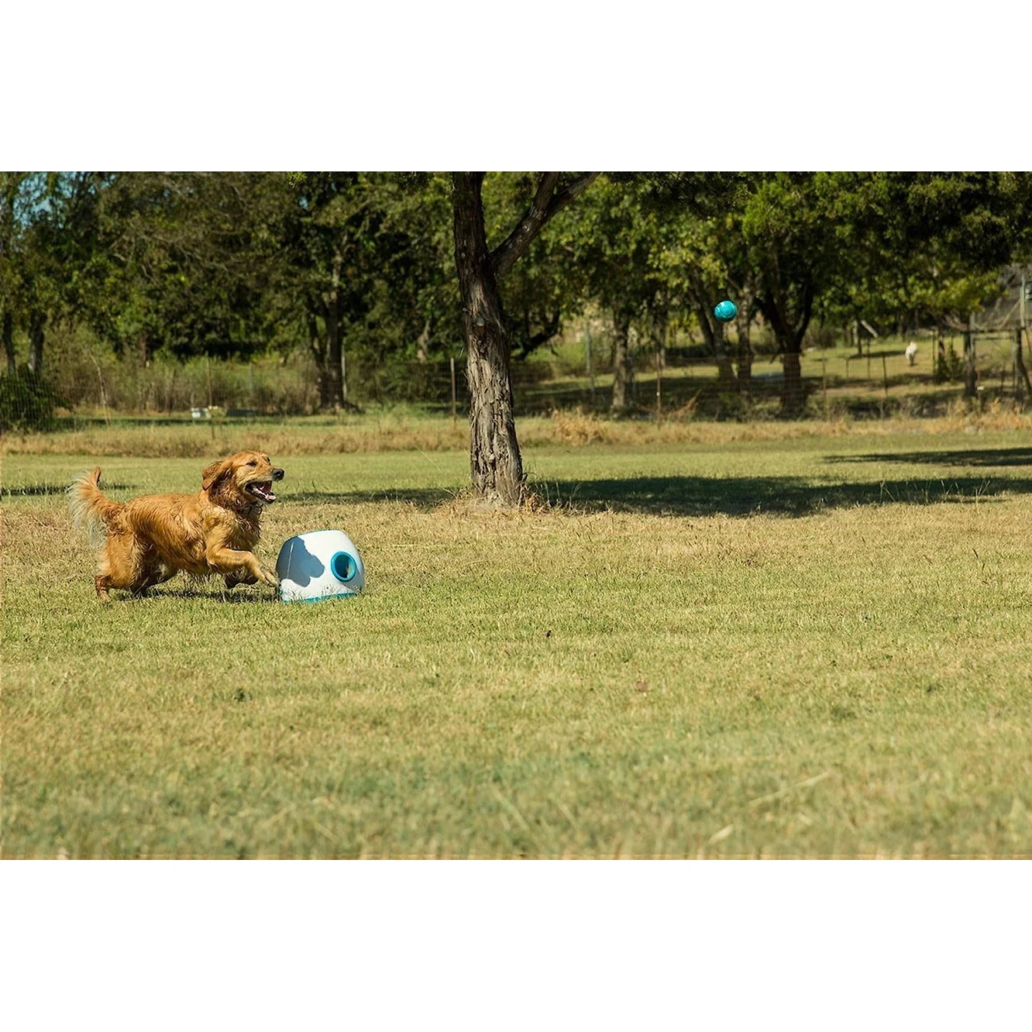IFetch Too Automatic Ball Launcher Dog Toy - Image 5