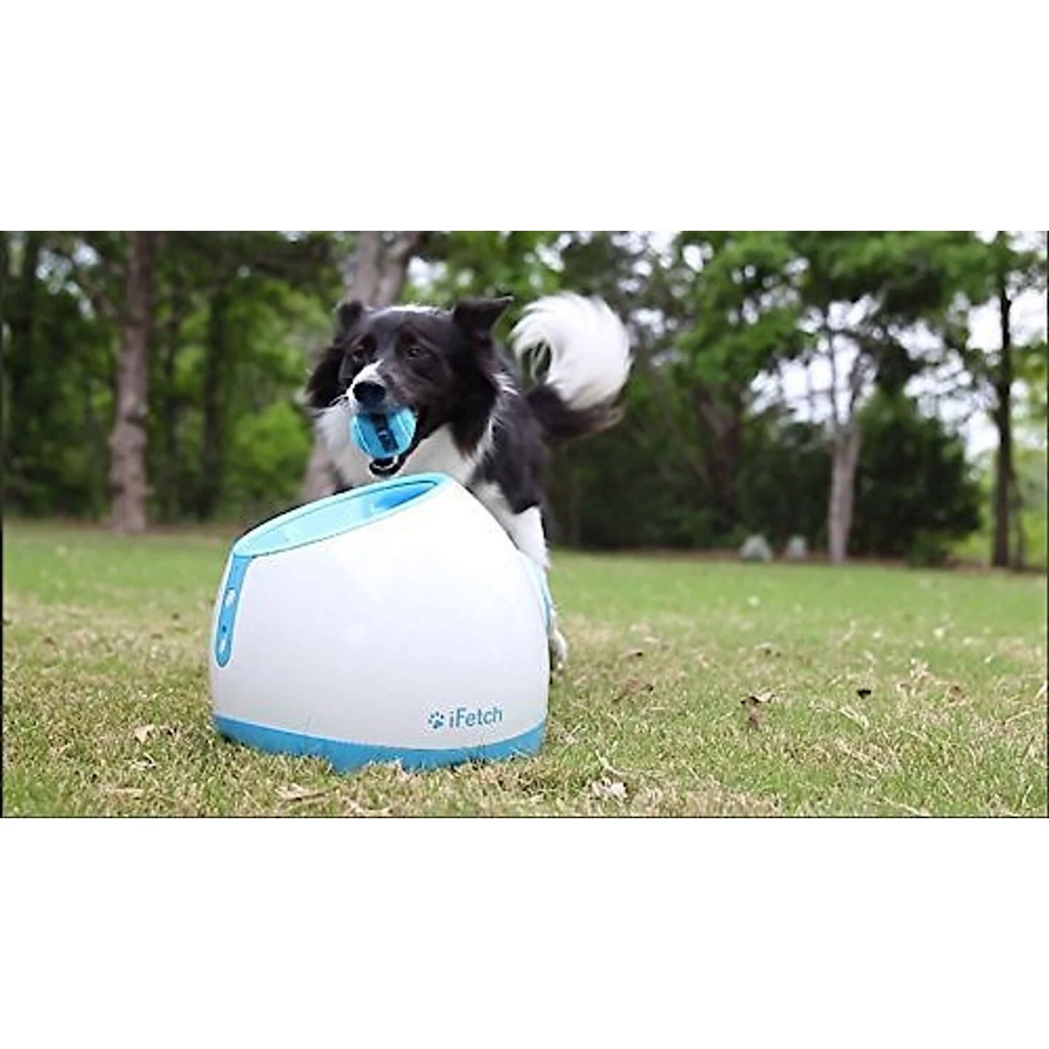 IFetch Too Automatic Ball Launcher Dog Toy - Image 6
