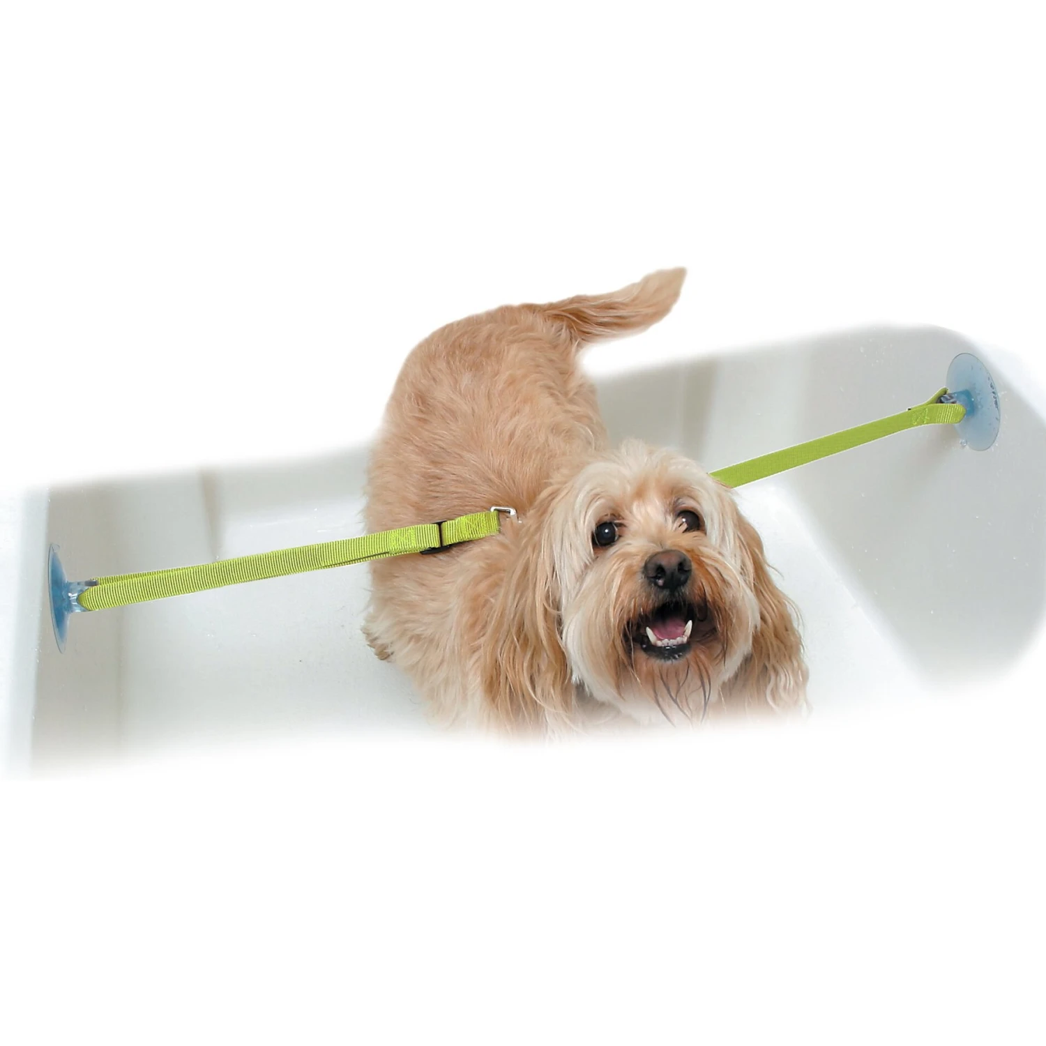 Rinse Ace Dog Bathing Tethers - Image 4