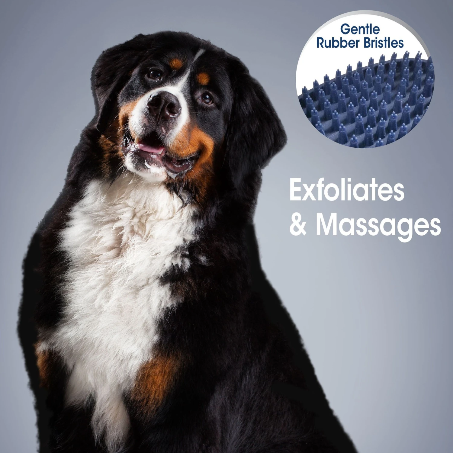 Four Paws Magic Coat Professional Series All-In-One Wet & Dry Dog Glove & Curry Brush - Image 5