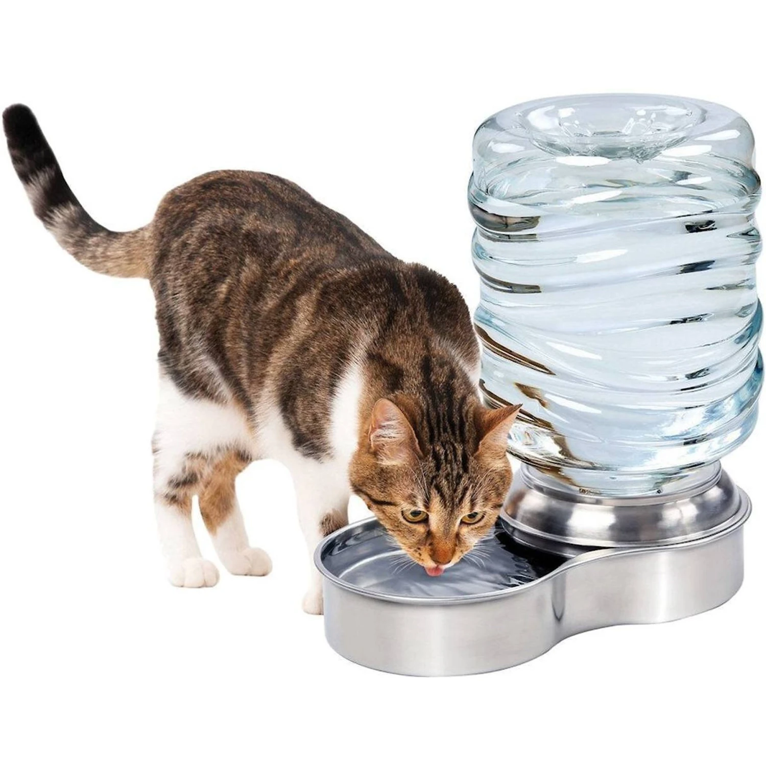 Etna Stainless Steel Gravity Refill Dog & Cat Waterer, 96-oz - Image 2