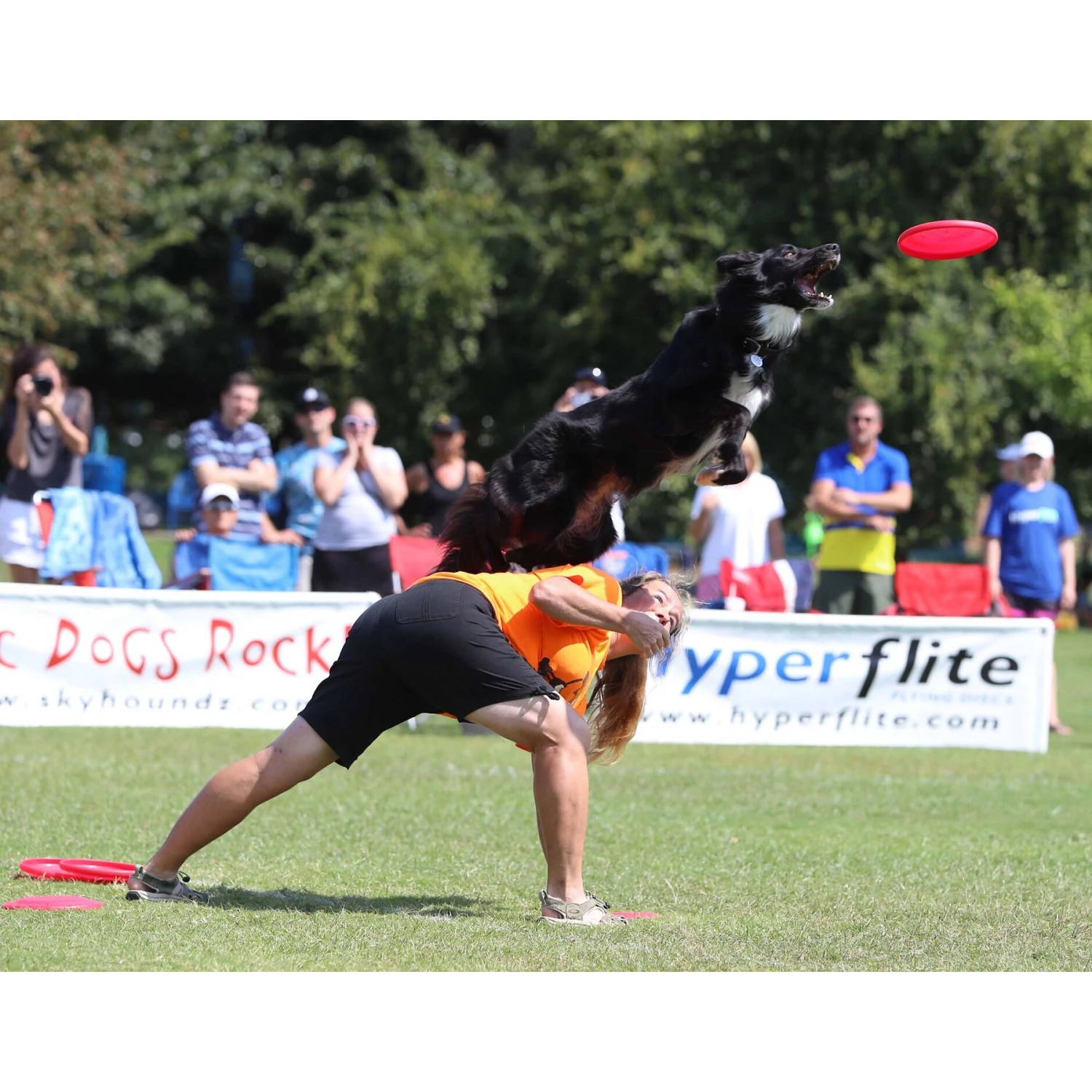 Hyperflite Jawz Disc - Image 4