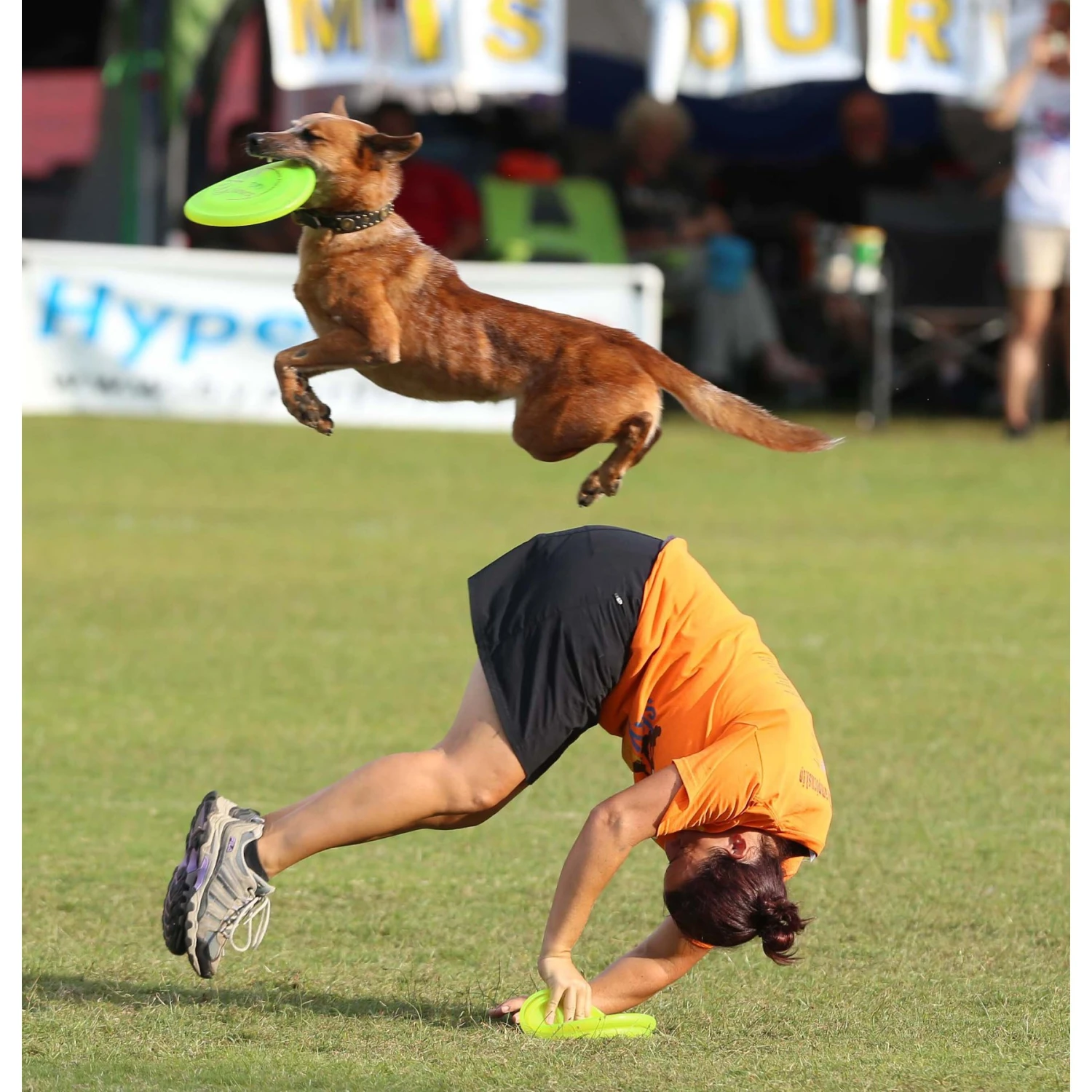 Hyperflite Jawz Disc - Image 5