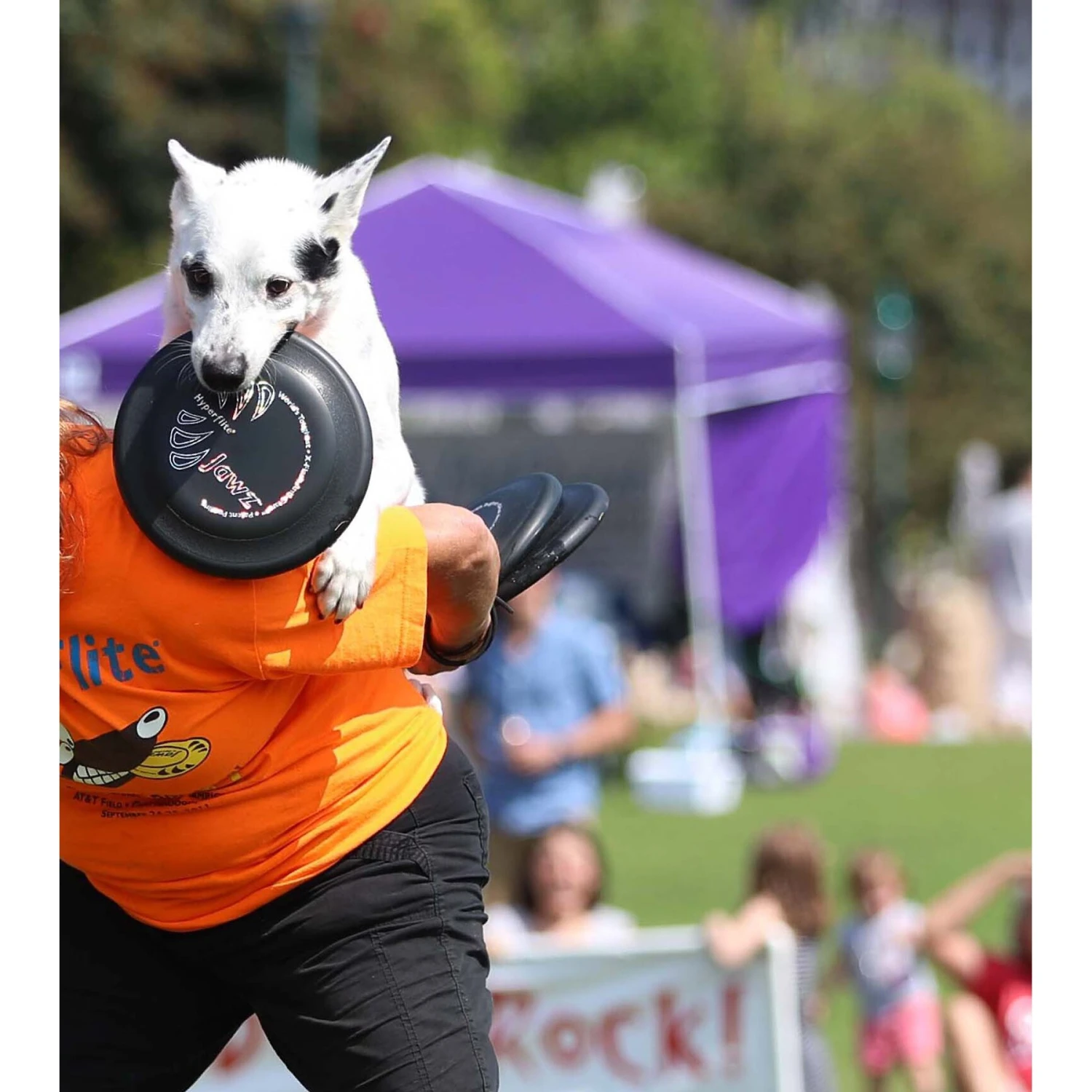 Hyperflite Jawz Disc - Image 6