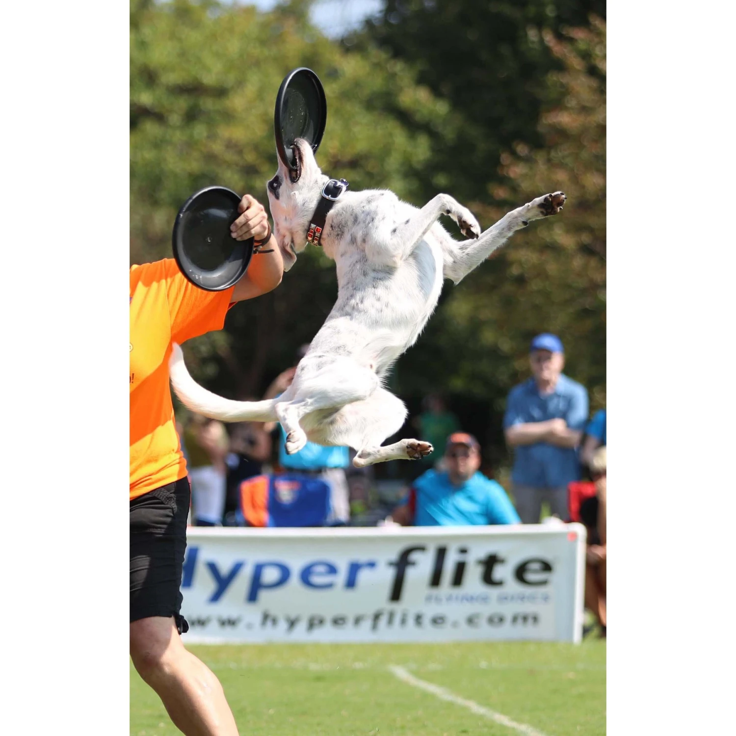 Hyperflite Jawz Disc - Image 7