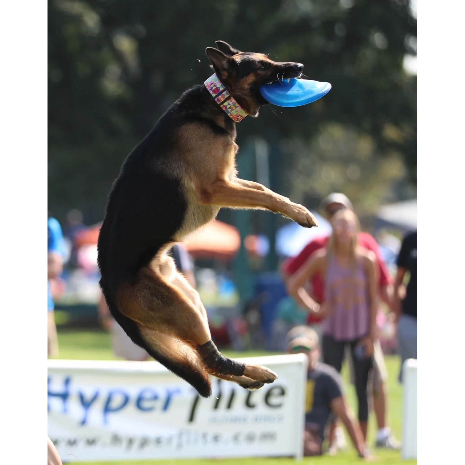 Hyperflite Jawz Disc - Image 8