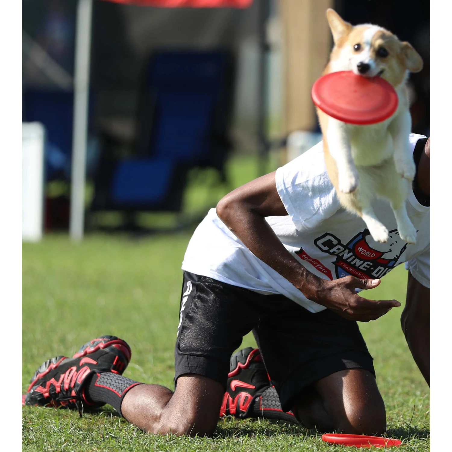 Hyperflite Jawz Pup Disc - Image 4