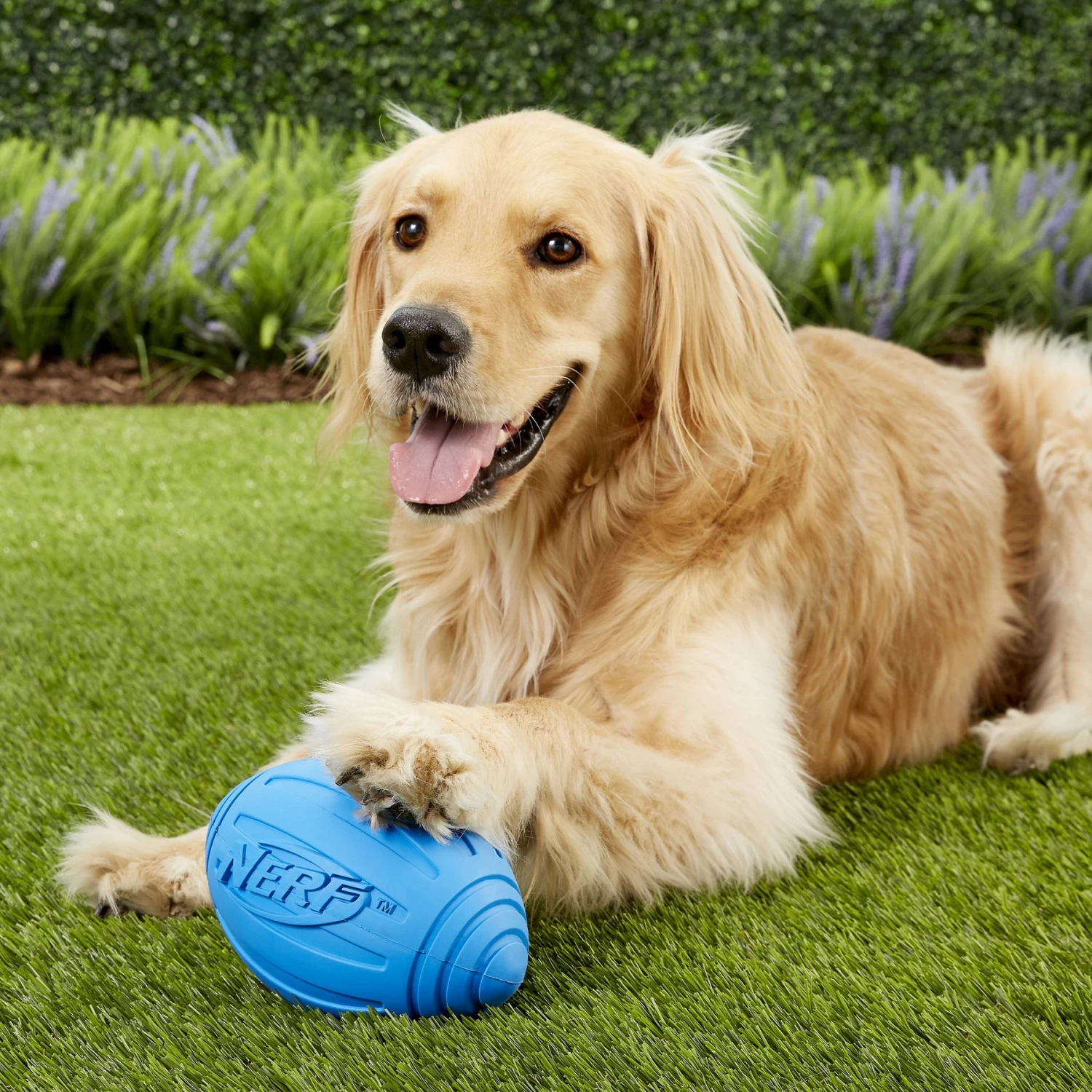 Nerf Dog Ridged Squeak Football Dog Toy, Large - Image 2