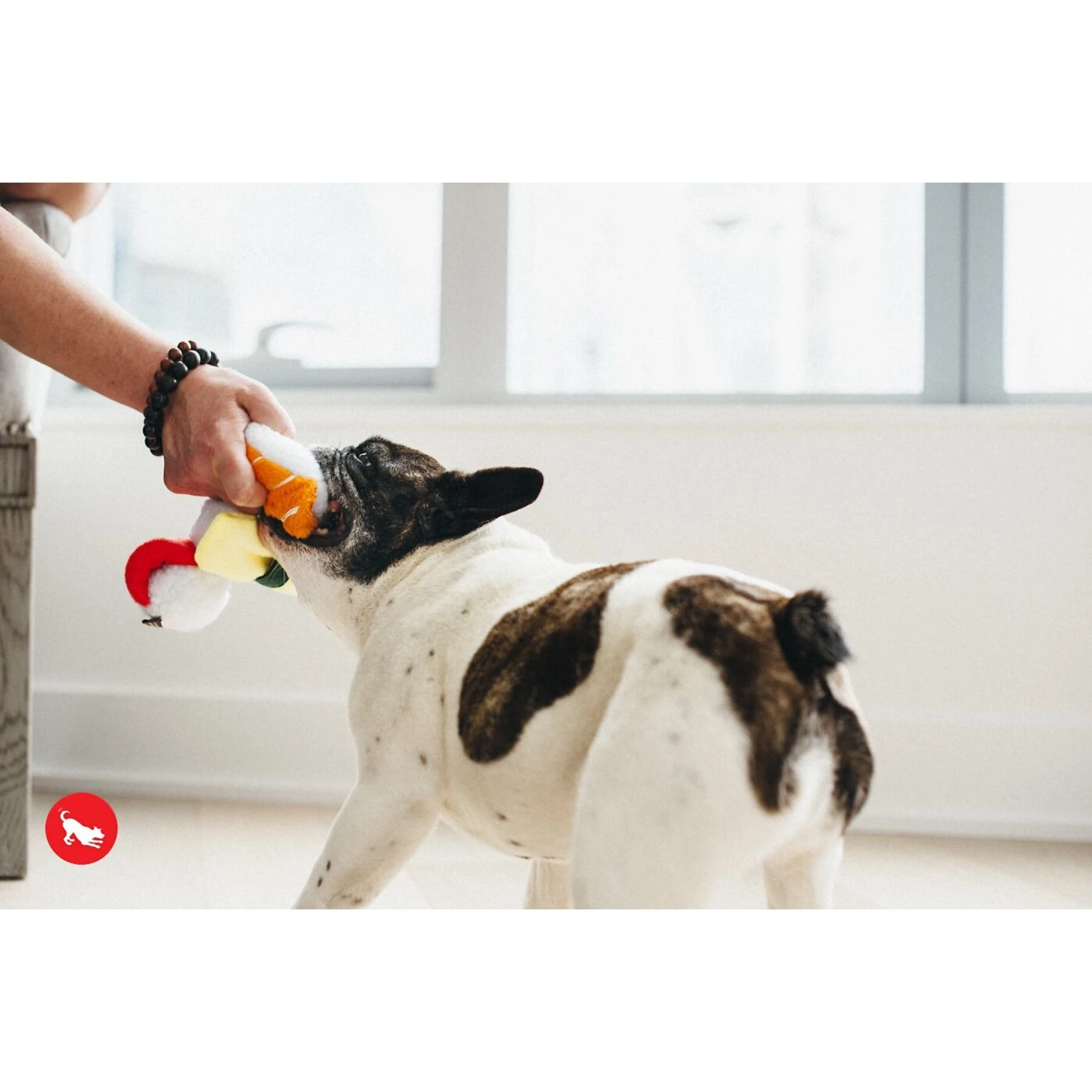 P.L.A.Y. Pet Lifestyle And You International Classic Food Sushi Squeaky Plush Dog Toy - Image 4