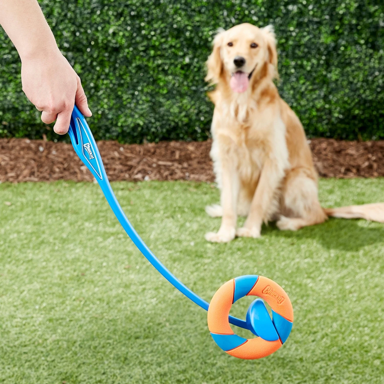 Chuckit! Ultra Ring Launcher Fetch Dog Toy - Image 3