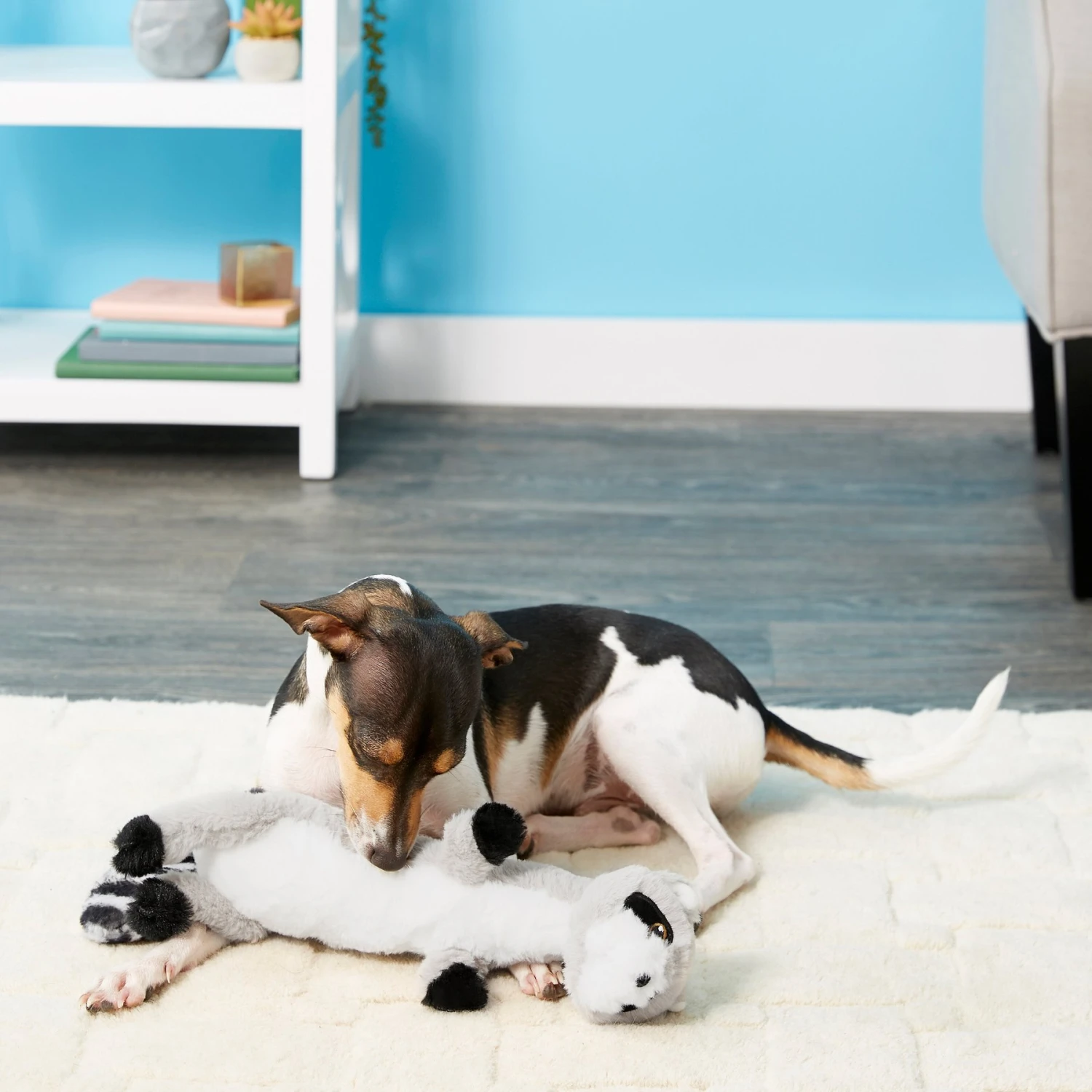 Frisco Raccoon Skinny Plush Squeaky Dog Toy - Image 2