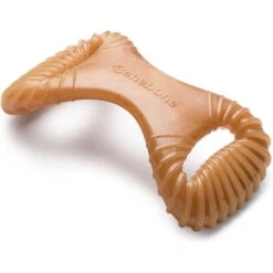 Benebone Chicken Flavor Dental Tough Dog Chew Toy