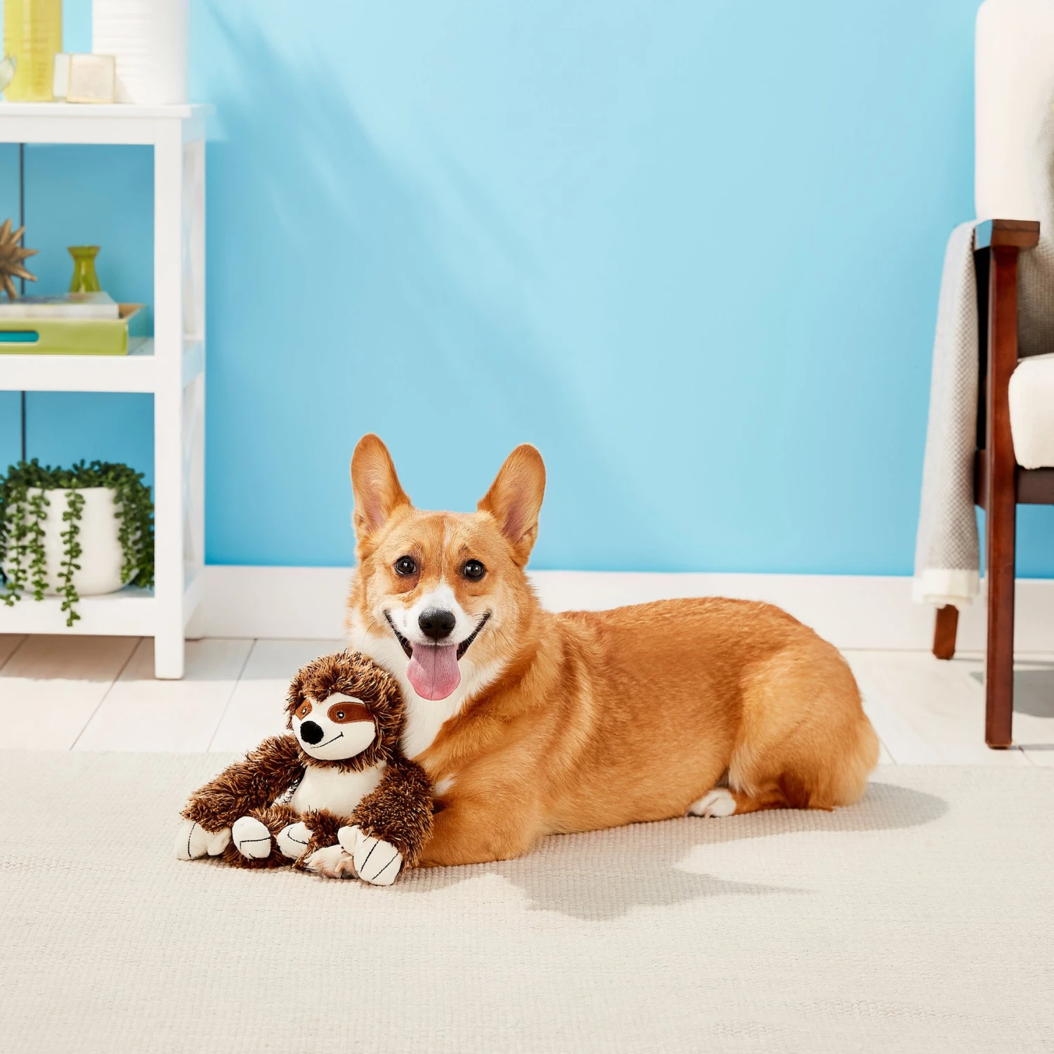 Multipet Bark Buddies Squeaky Plush Dog Toy - Image 2