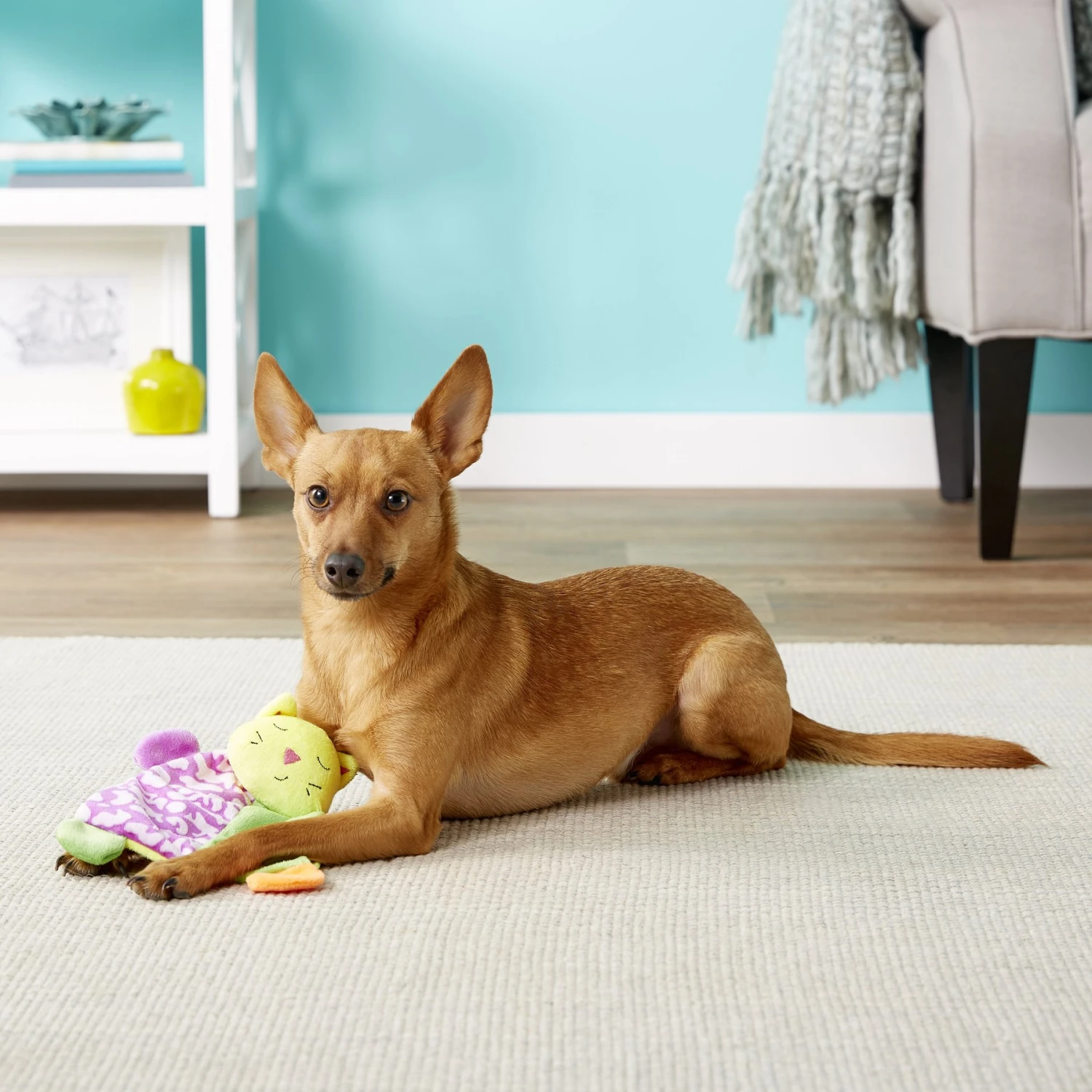 Ethical Pet Lil Spots Squeaky Plush Blanket Puppy Toy - Image 3