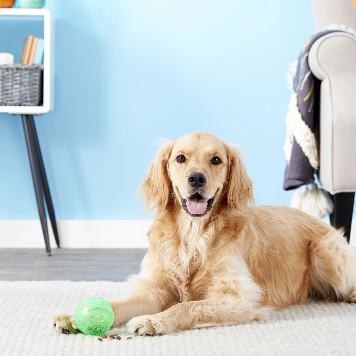 Ethical Pet Dura Brite Treat Dispenser Ball Dog Toy, Color Varies - Image 3