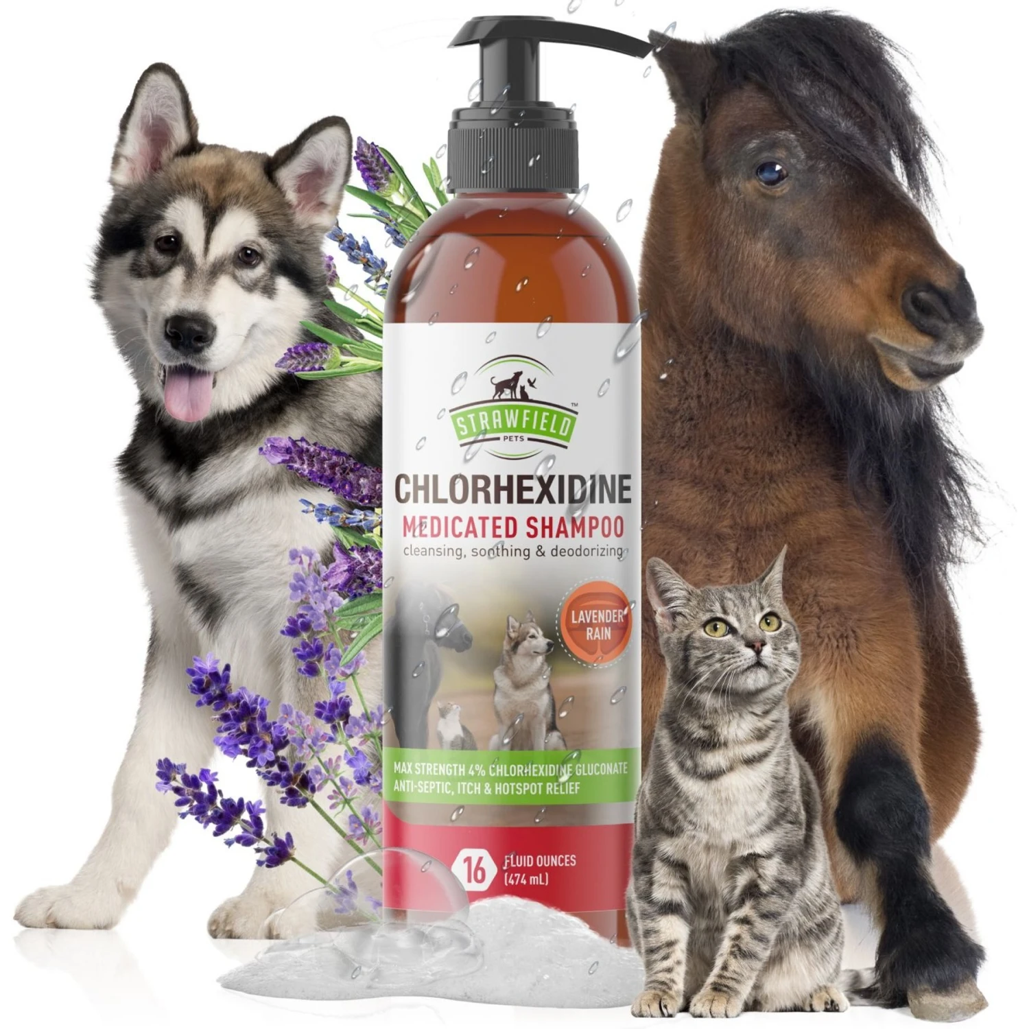 Strawfield Pets Chlorhexidine Medicated Dog, Cat & Horse Shampoo - Image 2