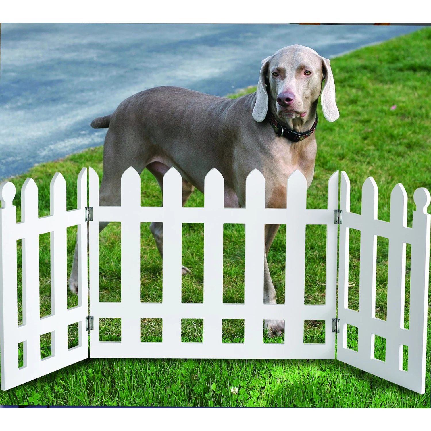 Etna Picket Fence Adjustable Pet Gate, White - Image 2