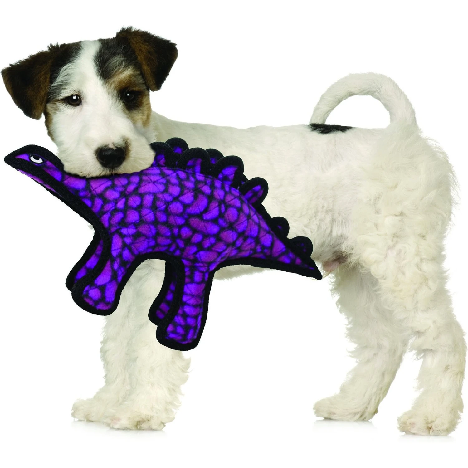 Tuffy's Jr Dinosaur Stegosaurus Plush Dog Toy - Image 3