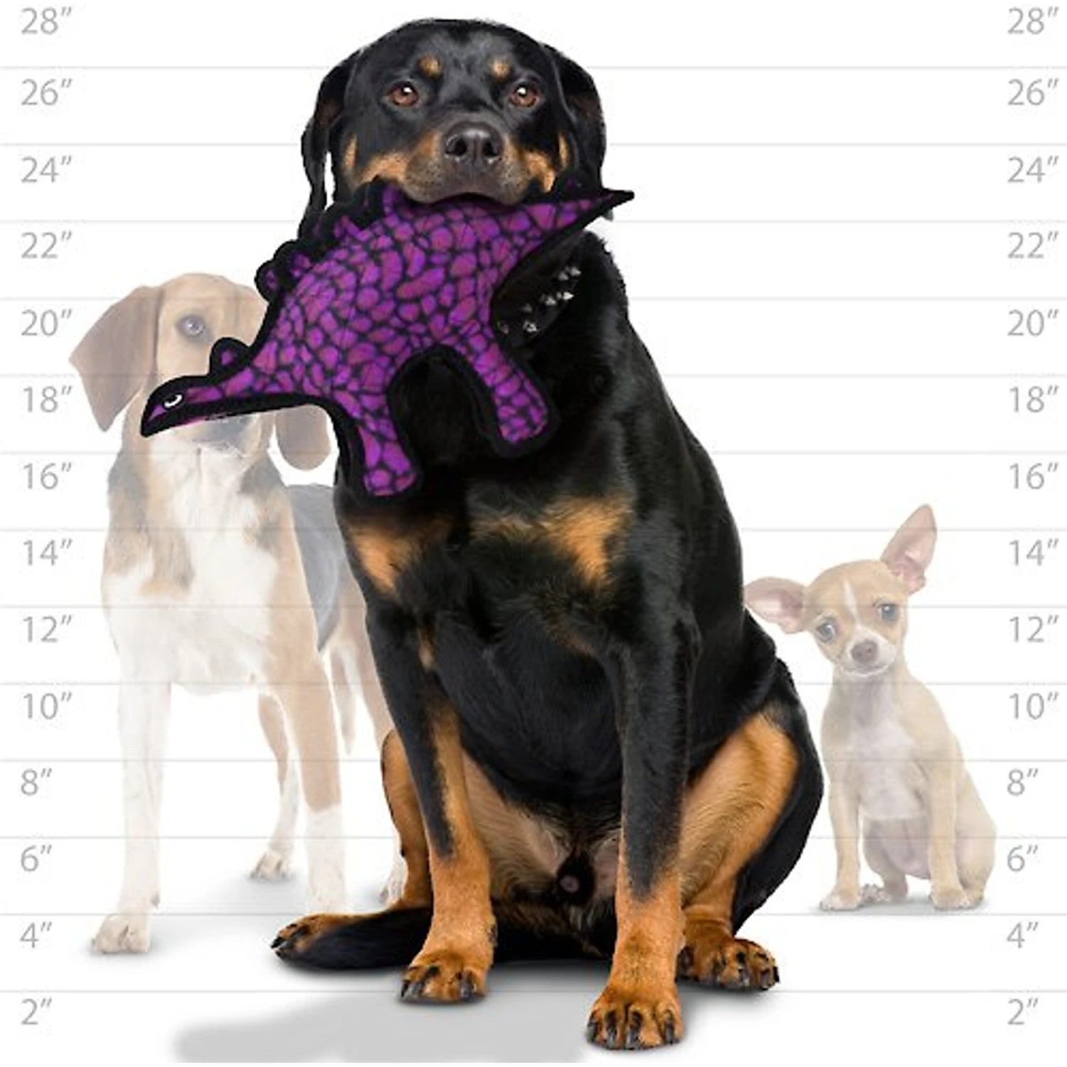 Tuffy's Jr Dinosaur Stegosaurus Plush Dog Toy - Image 4