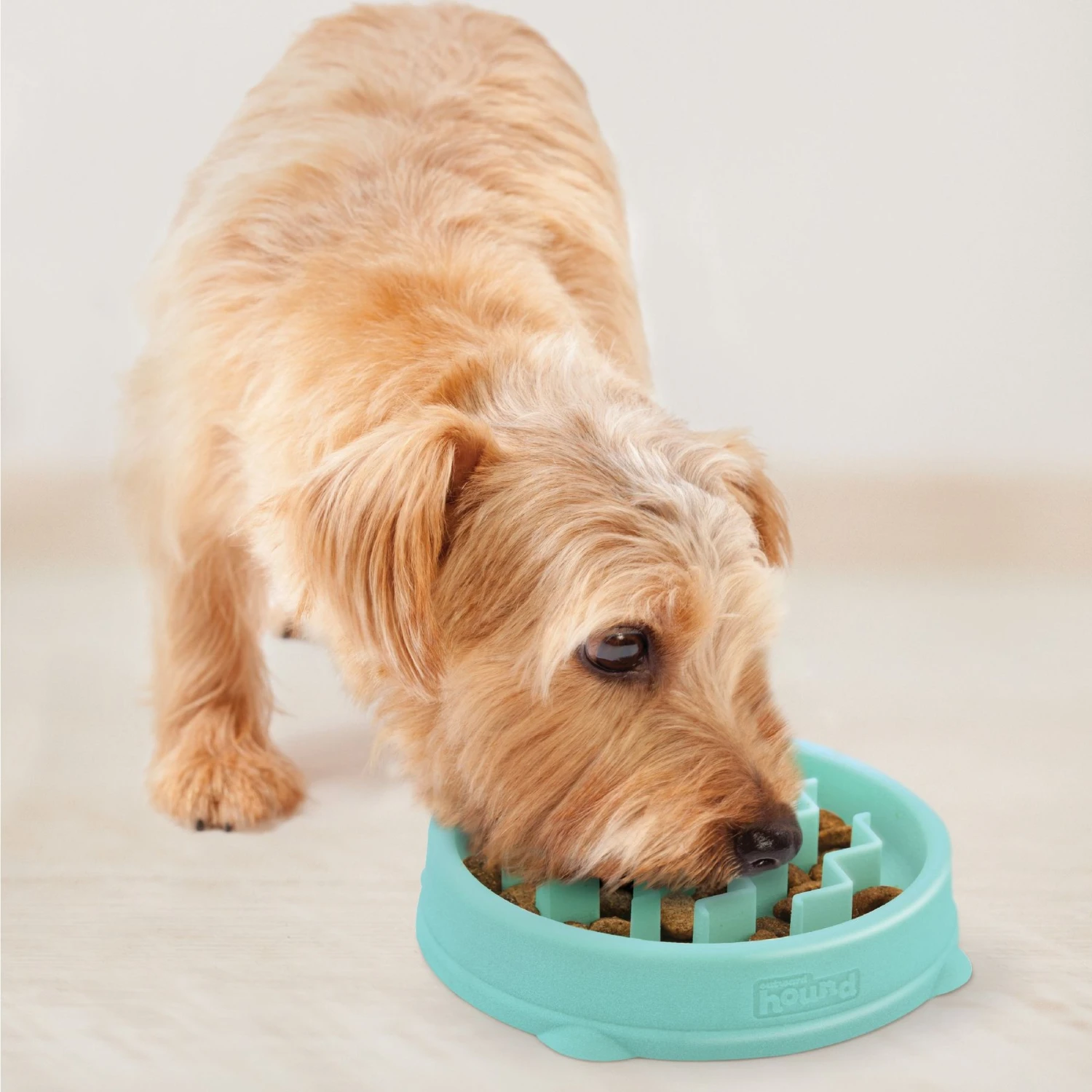 Outward Hound Non-Skid Plastic Slow Feeder Dog Bowl - Image 6