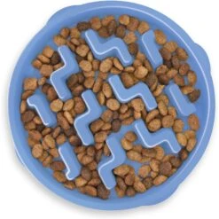 Outward Hound Fun Feeder Slow Feeder Dog Bowl