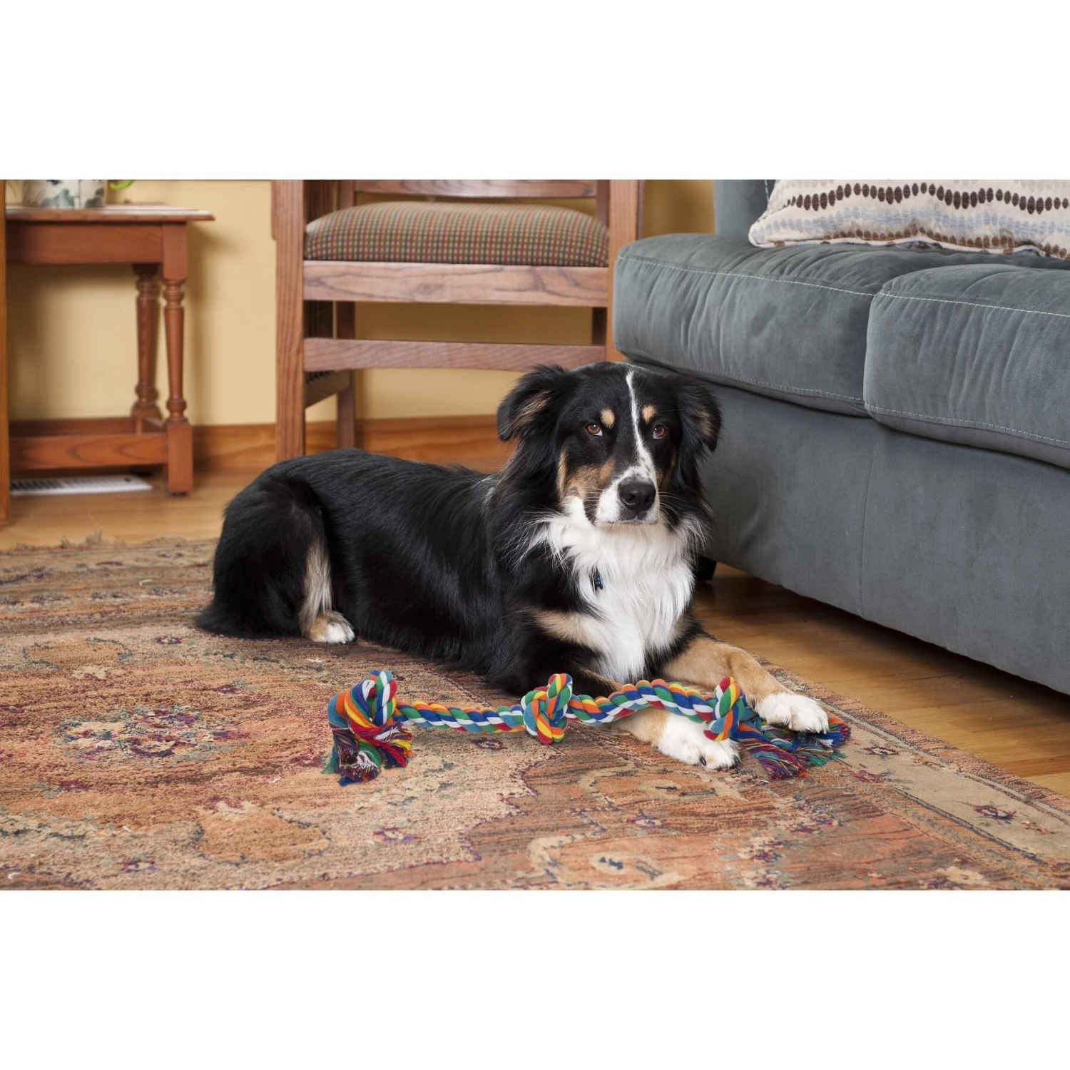 Penn-Plax 3 Knot Tough Dog Rope Toy - Image 3
