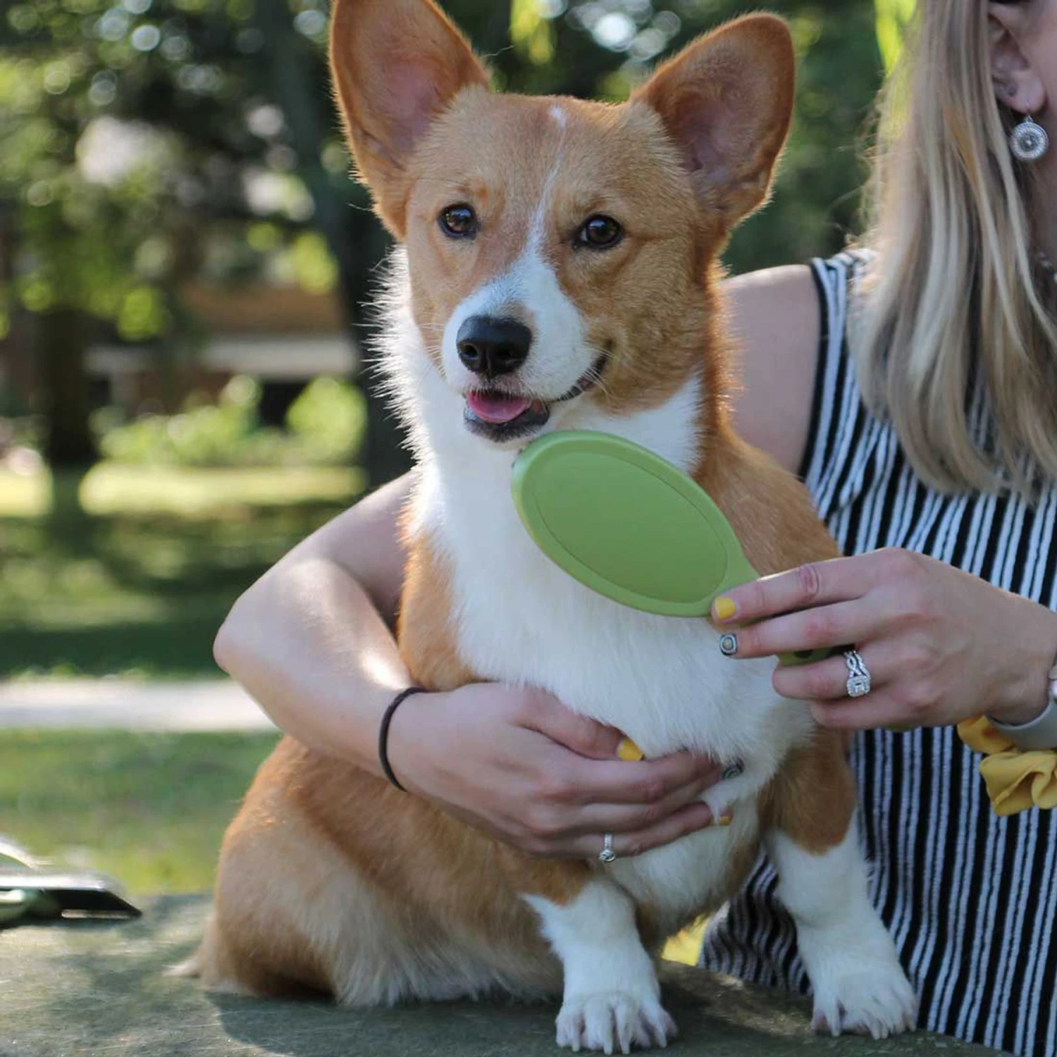 Safari Bristle Dog Brush - Image 3