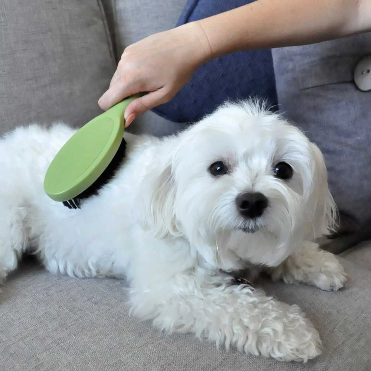 Safari Bristle Dog Brush - Image 5