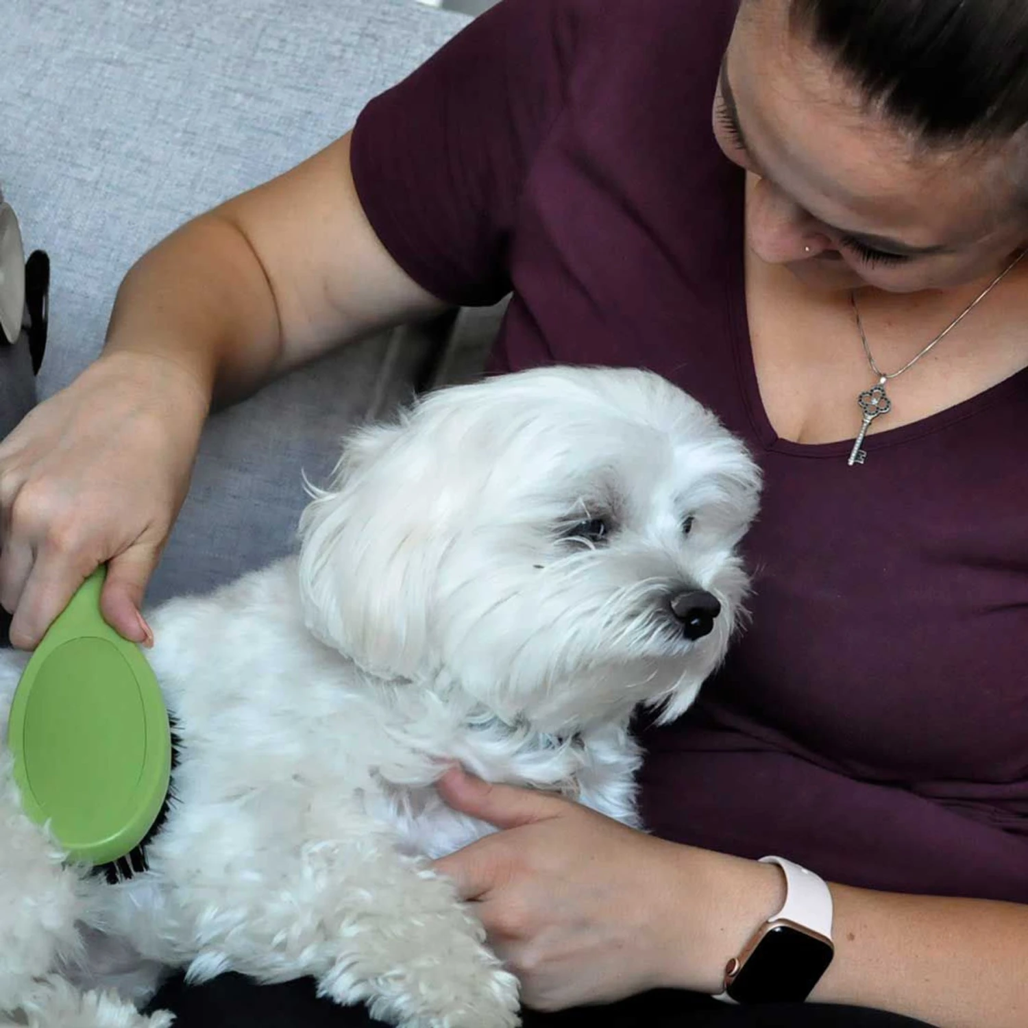 Safari Bristle Dog Brush - Image 6