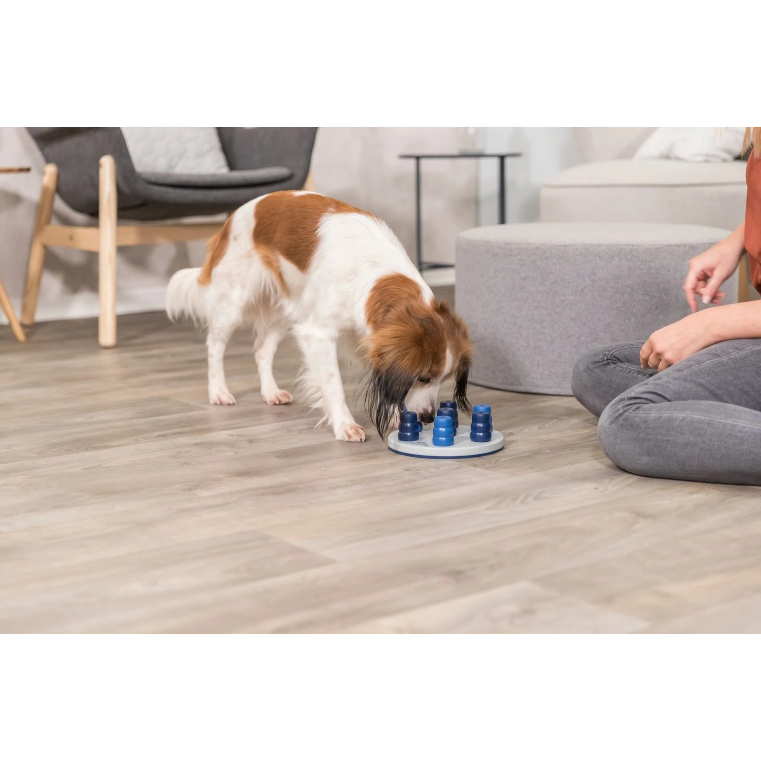 TRIXIE Solitaire Dog Activity Strategy Game Dog Toy - Image 4