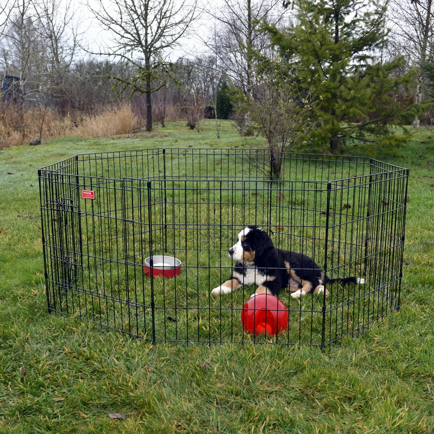 Lucky Dog Wire Dog Exercise Pen With Step-Thru Door