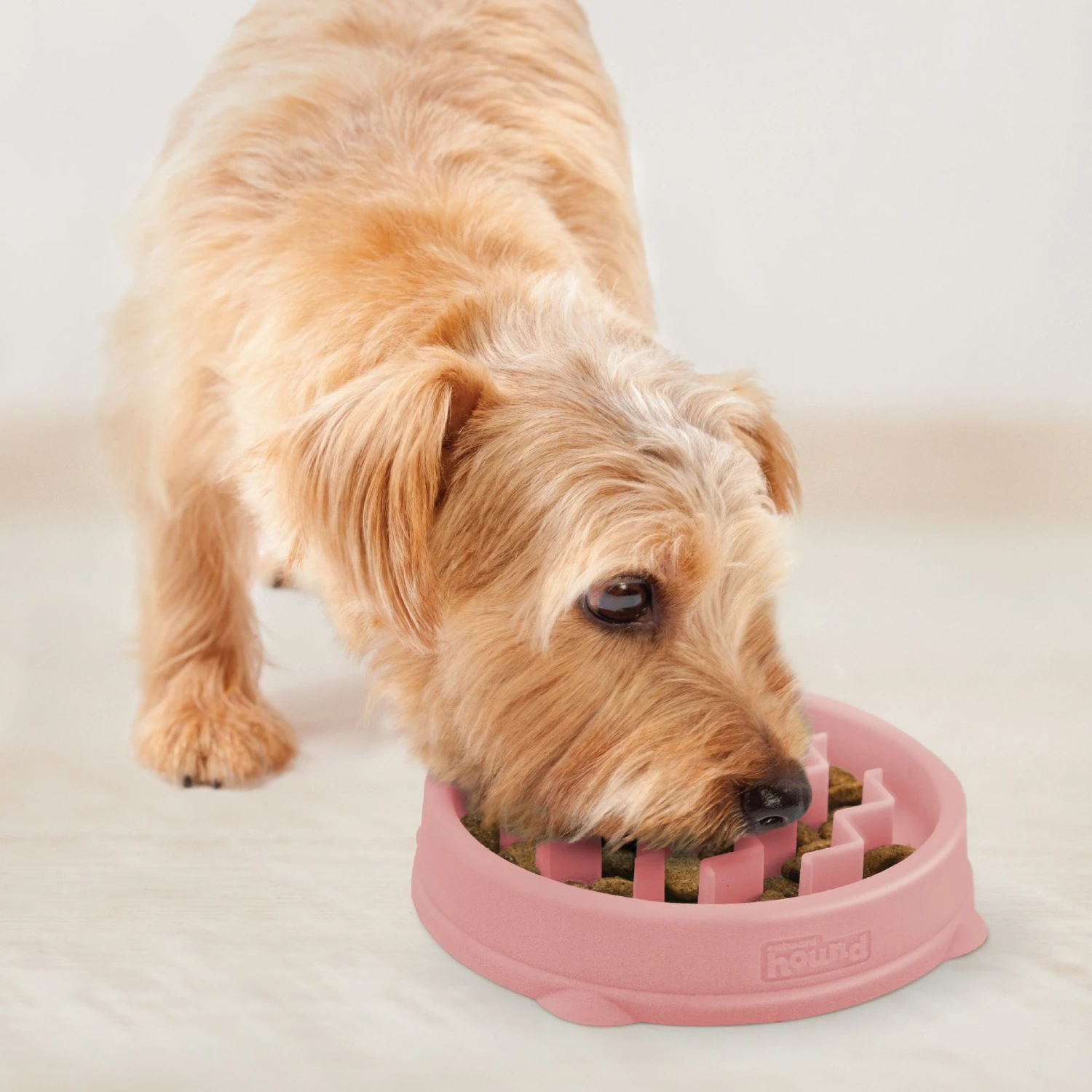 Outward Hound Non-Skid Plastic Slow Feeder Wave Dog Bowl - Image 6