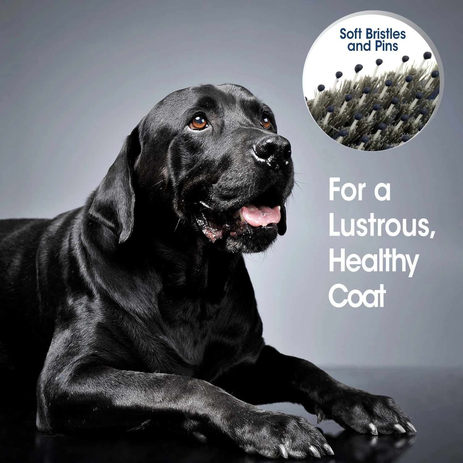 Four Paws Magic Coat Professional Series Comfort & Contour Pin And Bristle Dog Brush - Image 3