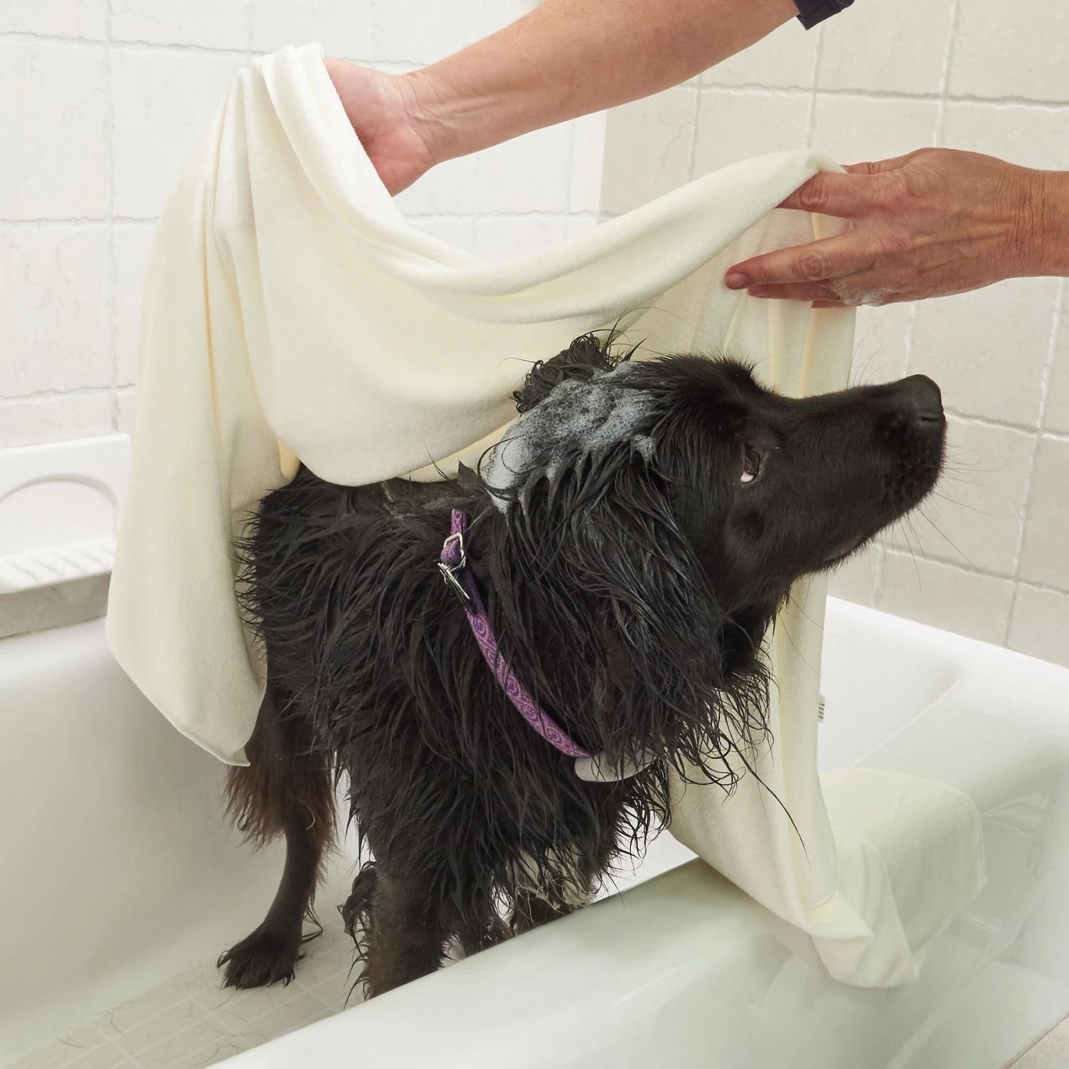 Rinse Ace Microfiber Pet Towel - Image 5