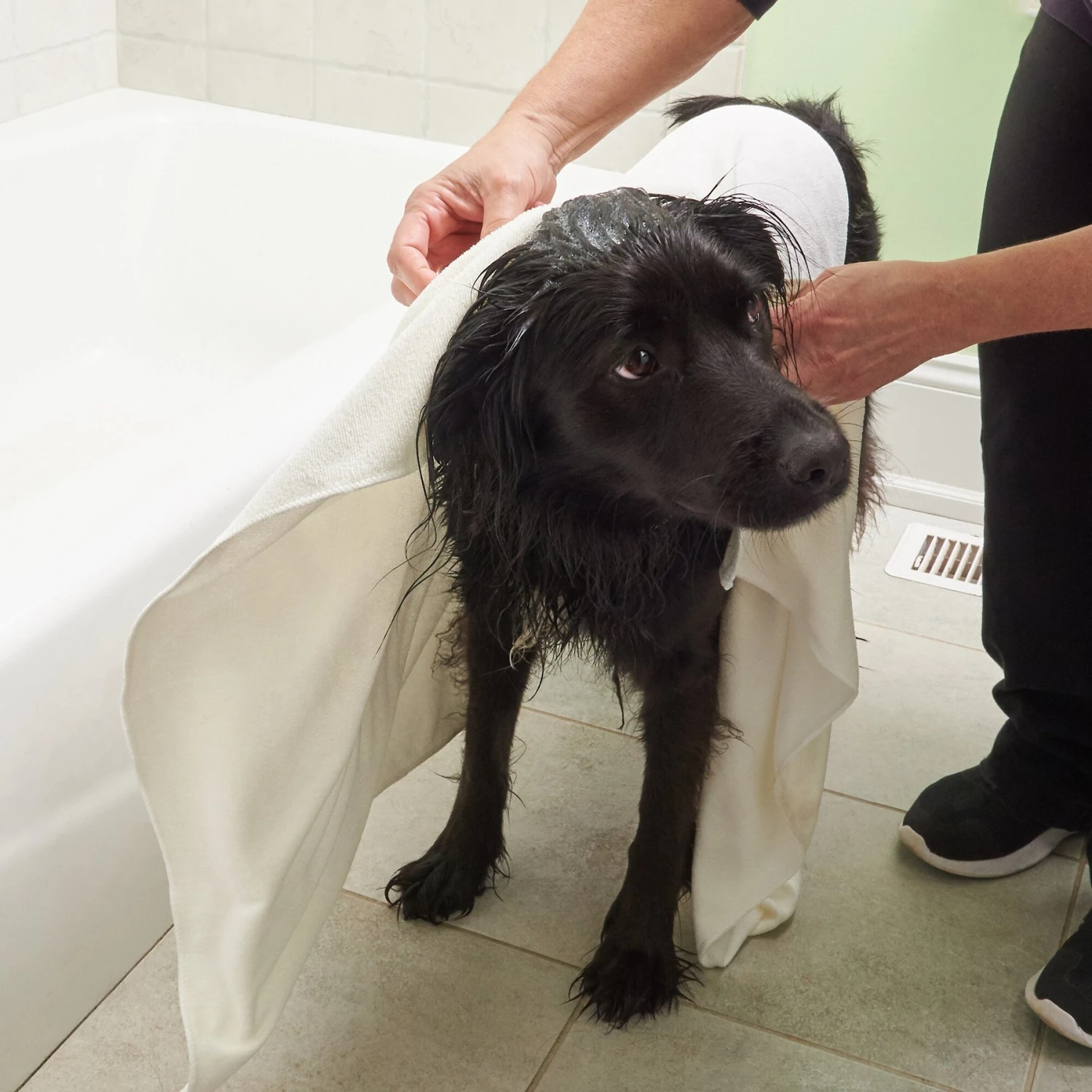 Rinse Ace Microfiber Pet Towel - Image 6