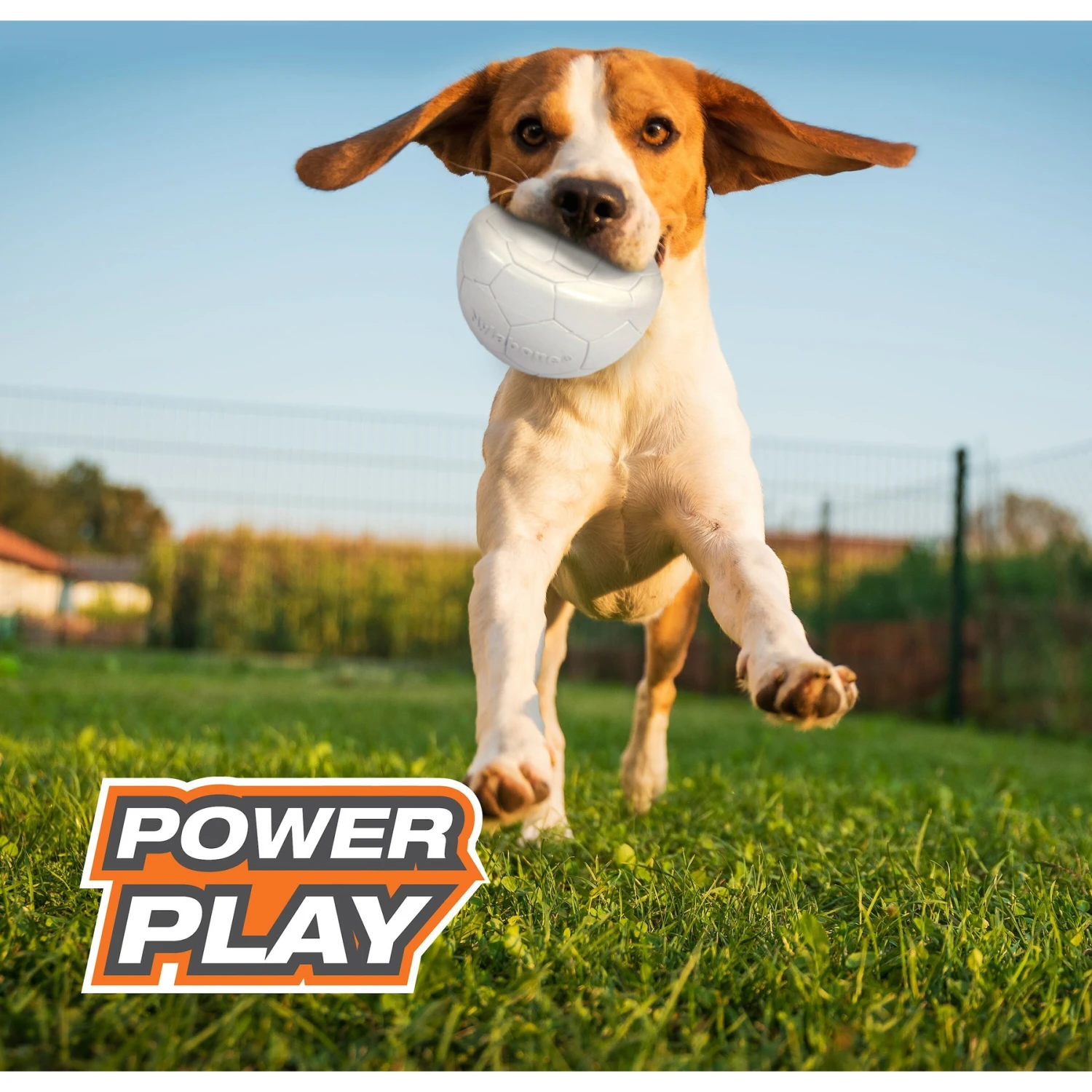 Nylabone Power Play Gripz Soccer Ball Dog Toy - Image 9