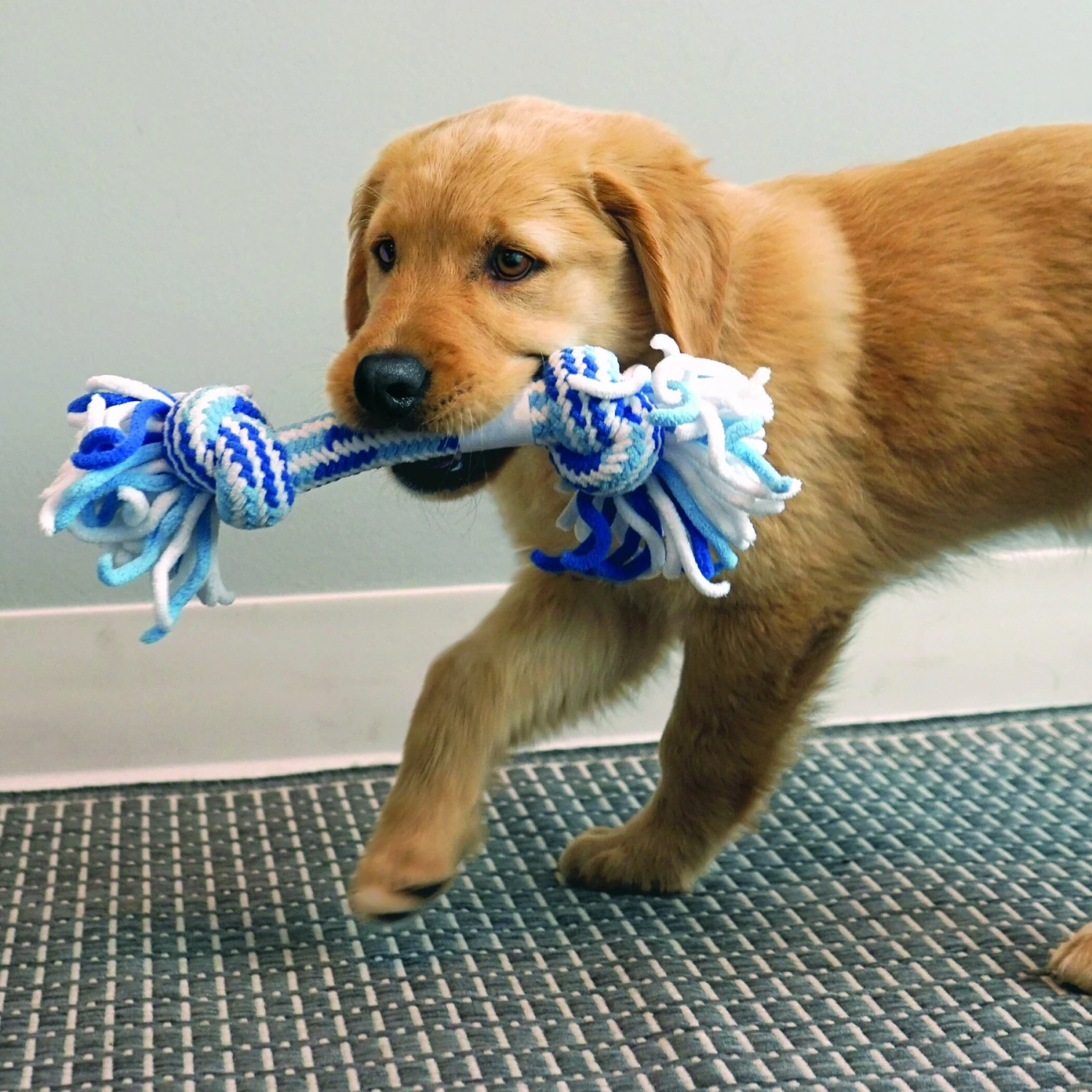 KONG Rope Stick Puppy Toy - Image 3