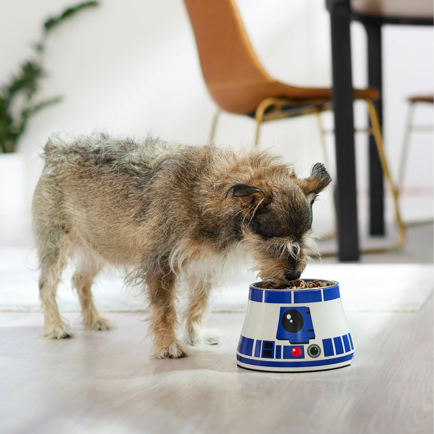 STAR WARS R2-D2 Elevated Melamine Stainless Steel Dog & Cat Bowl, 1.5 Cup - Image 3