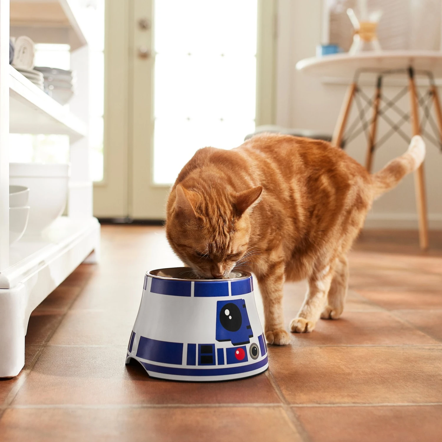 STAR WARS R2-D2 Elevated Melamine Stainless Steel Dog & Cat Bowl, 1.5 Cup - Image 4