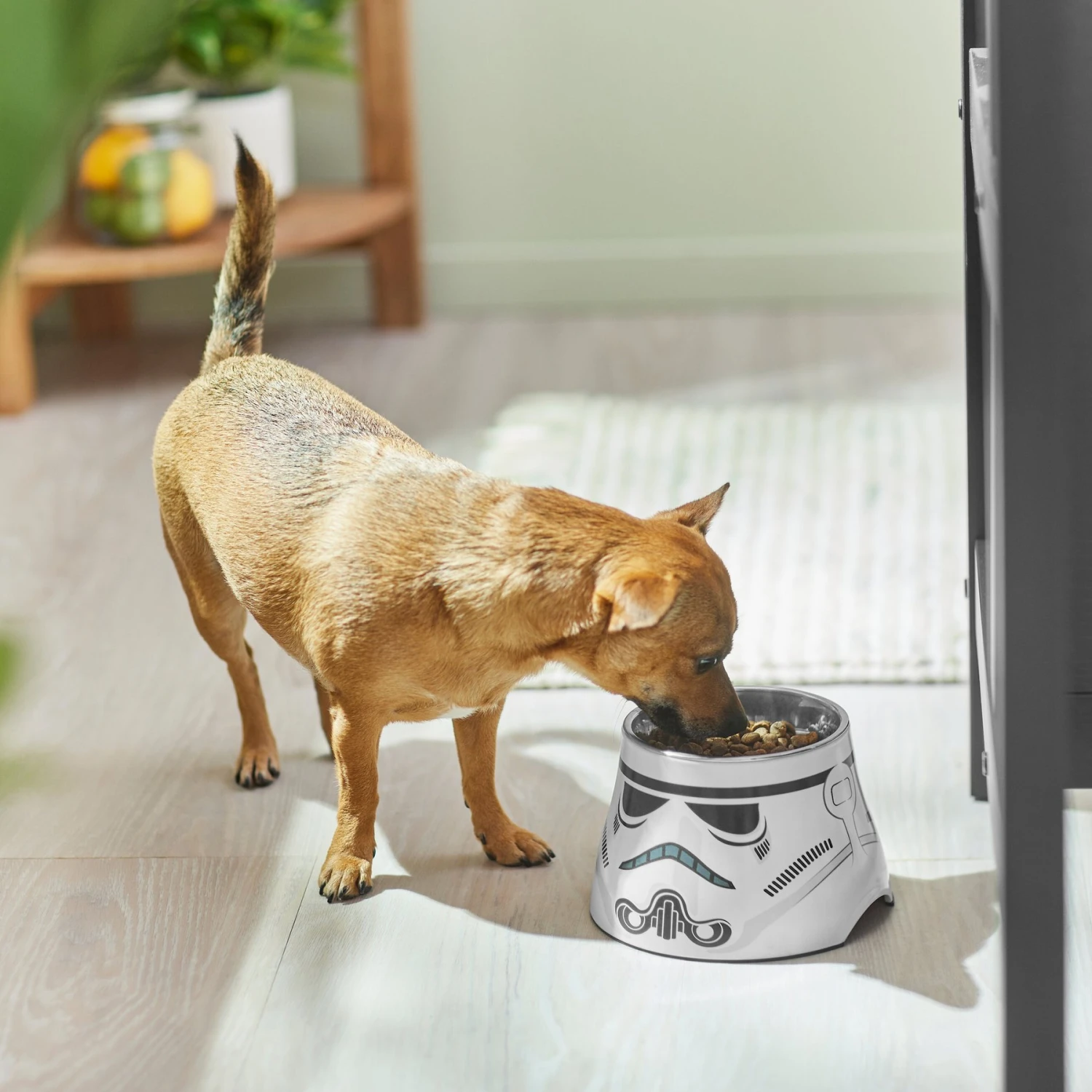 STAR WARS STORMTROOPER Melamine Elevated Stainless Steel Dog & Cat Bowl, 1.5 Cup - Image 3