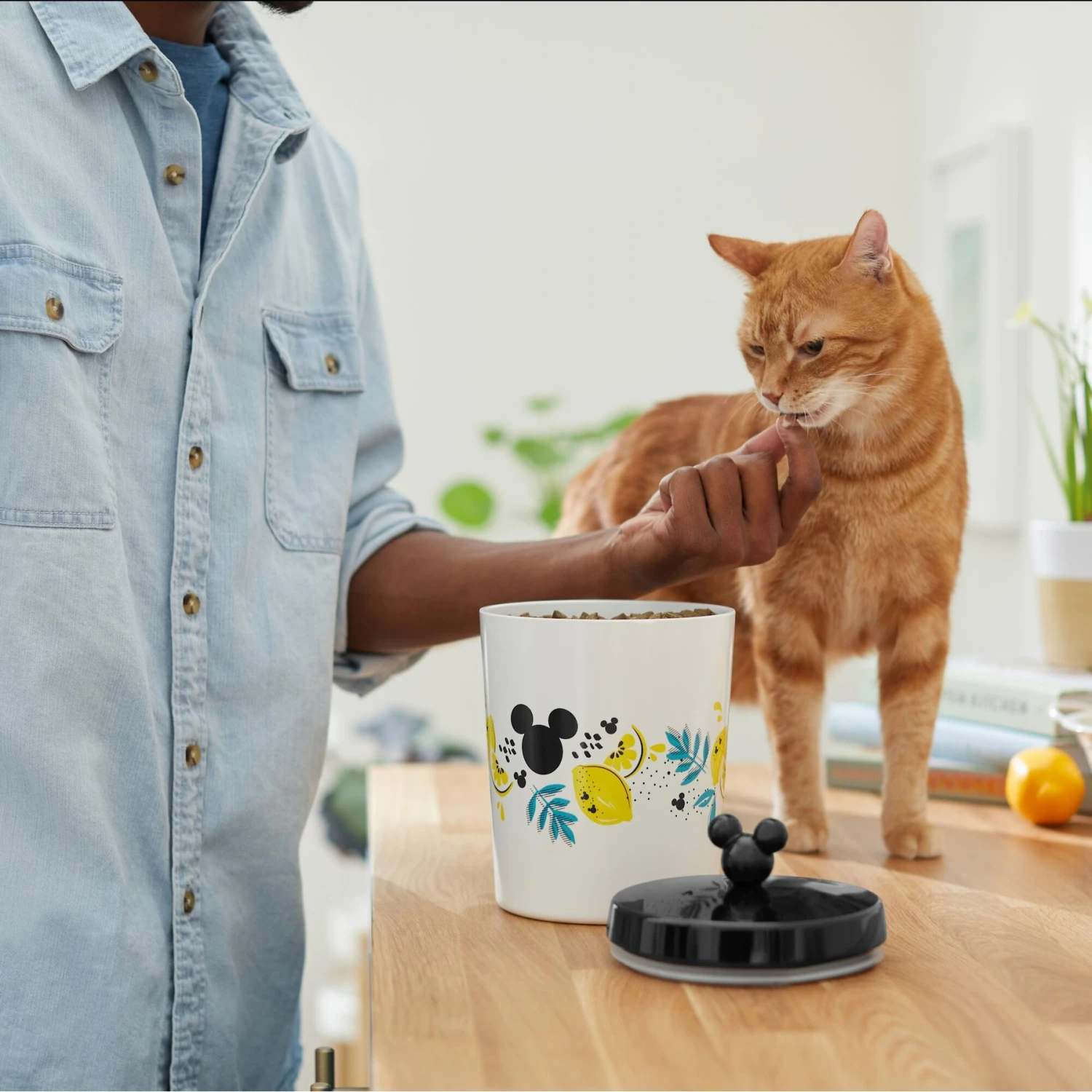 Disney Mickey Mouse Lemon Melamine Dog & Cat Treat Jar - Image 4