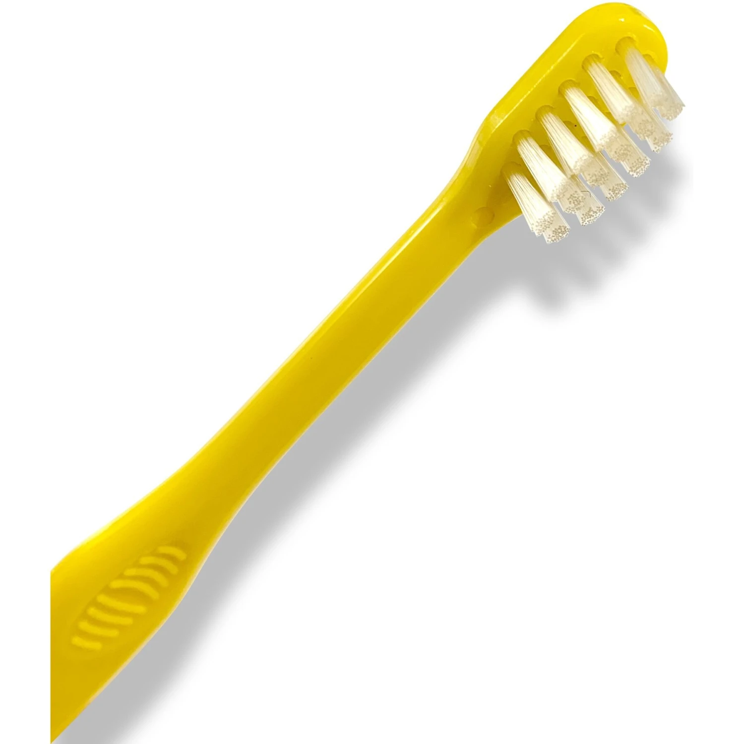 Pet Republique Enzymatic Toothpaste Kit With Handle Toothbrushes Beef Flavor For Dogs & Cats, 3.5-oz - Image 4