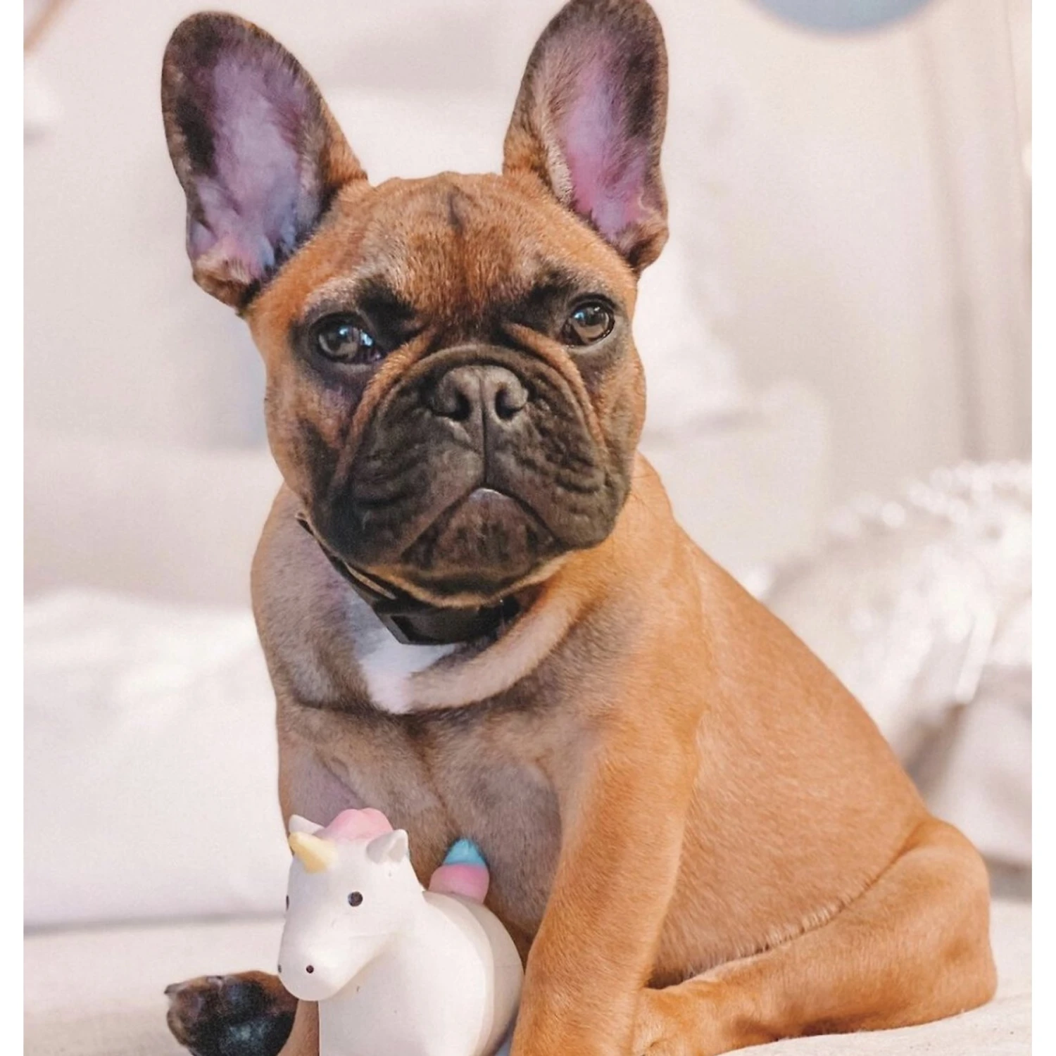 Rocket & Rex Oh My! Unicorn Stuffing-Free Squeaky Plush Dog Chew Toy Set, 3 Count - Image 3