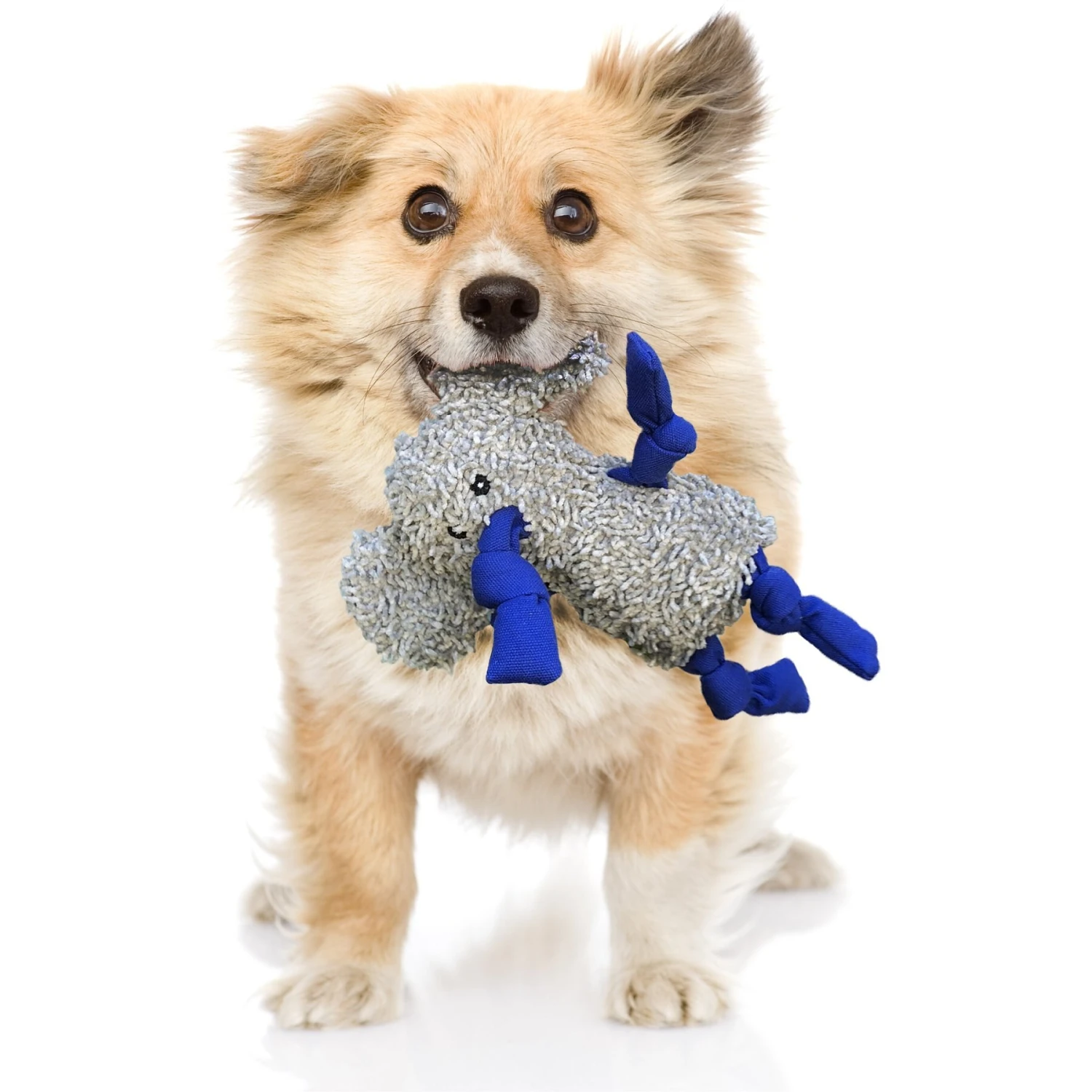 Rocket & Rex Oh My! Unicorn Stuffing-Free Squeaky Plush Dog Chew Toy Set, 3 Count - Image 5