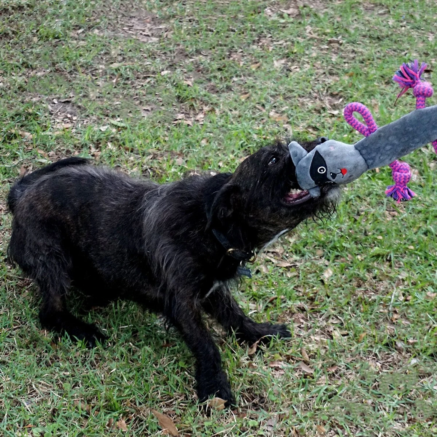 Rocket & Rex Oh My! Unicorn Stuffing-Free Squeaky Plush Dog Chew Toy Set, 3 Count - Image 6