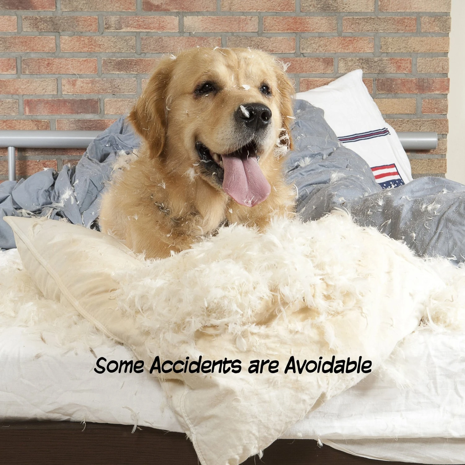 Pet Adobe Freestanding Wooden Folding Dog Gate - Image 4