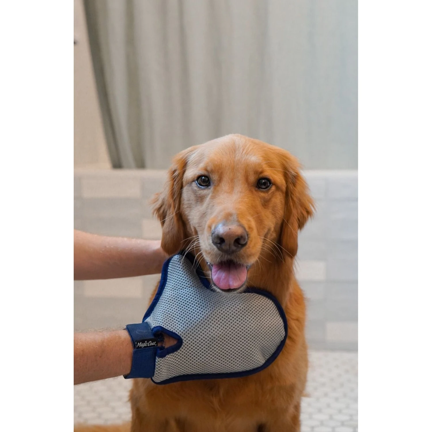 Four Paws Magic Coat Professional Series Comfort Tips Deluxe Dog Grooming Glove - Image 2