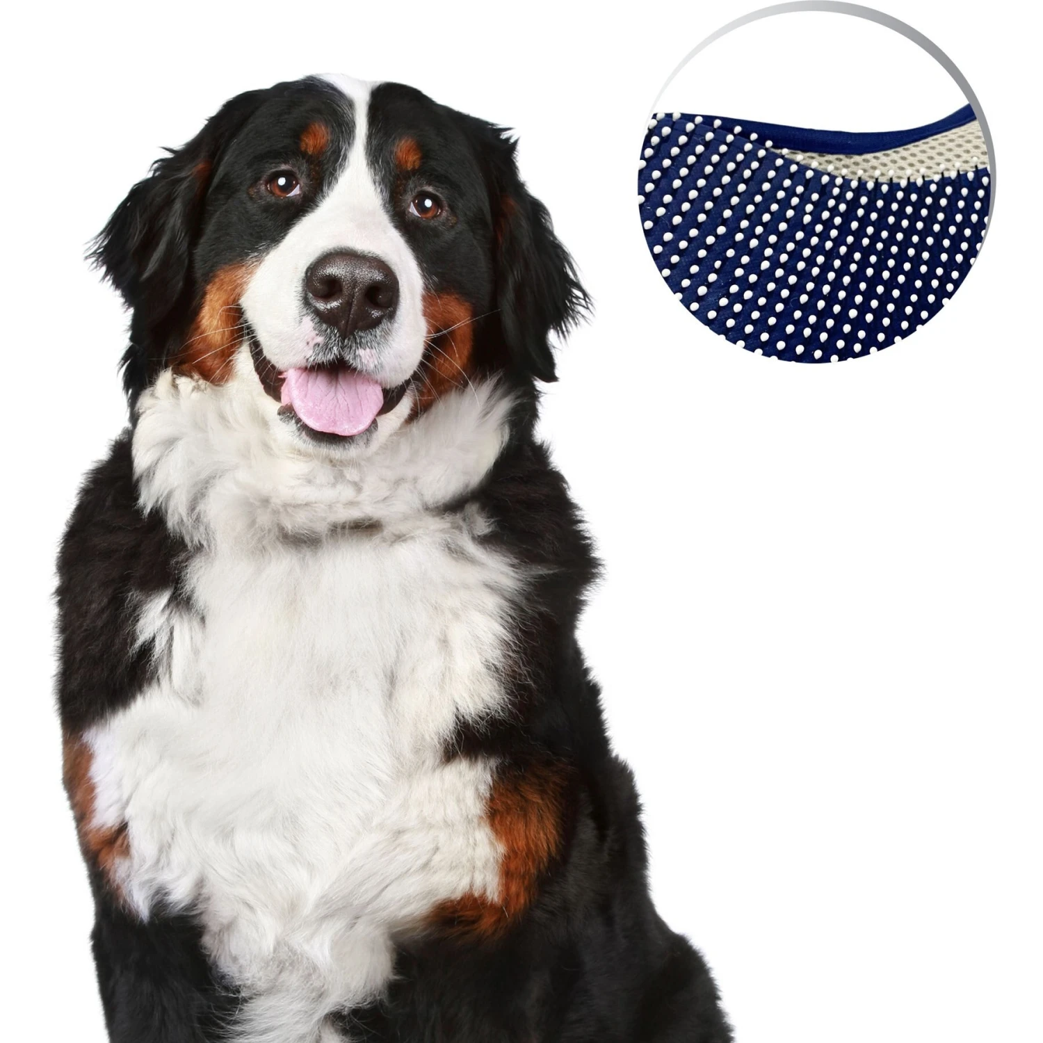 Four Paws Magic Coat Professional Series Comfort Tips Deluxe Dog Grooming Glove - Image 9